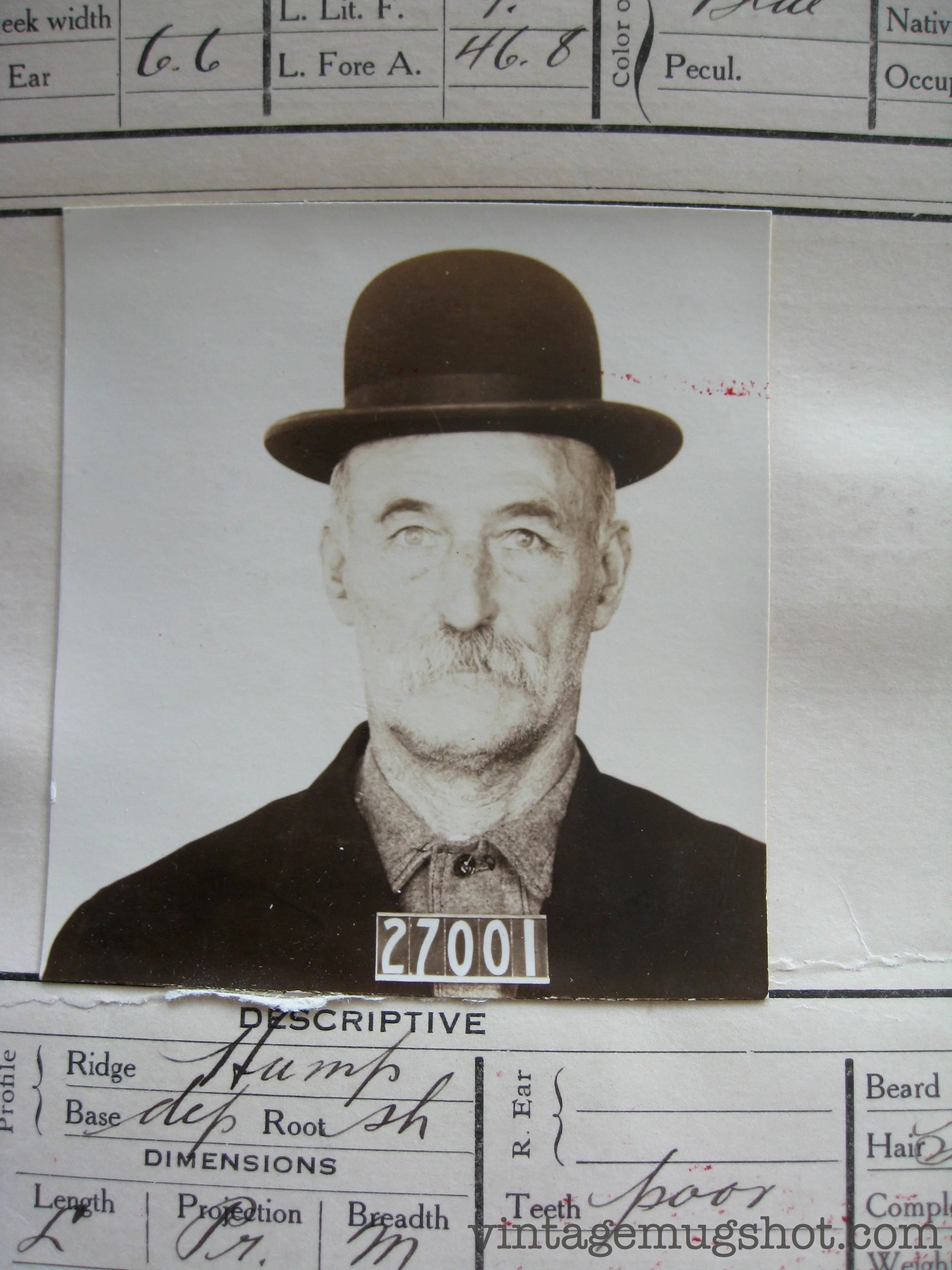 27001_2.jpg