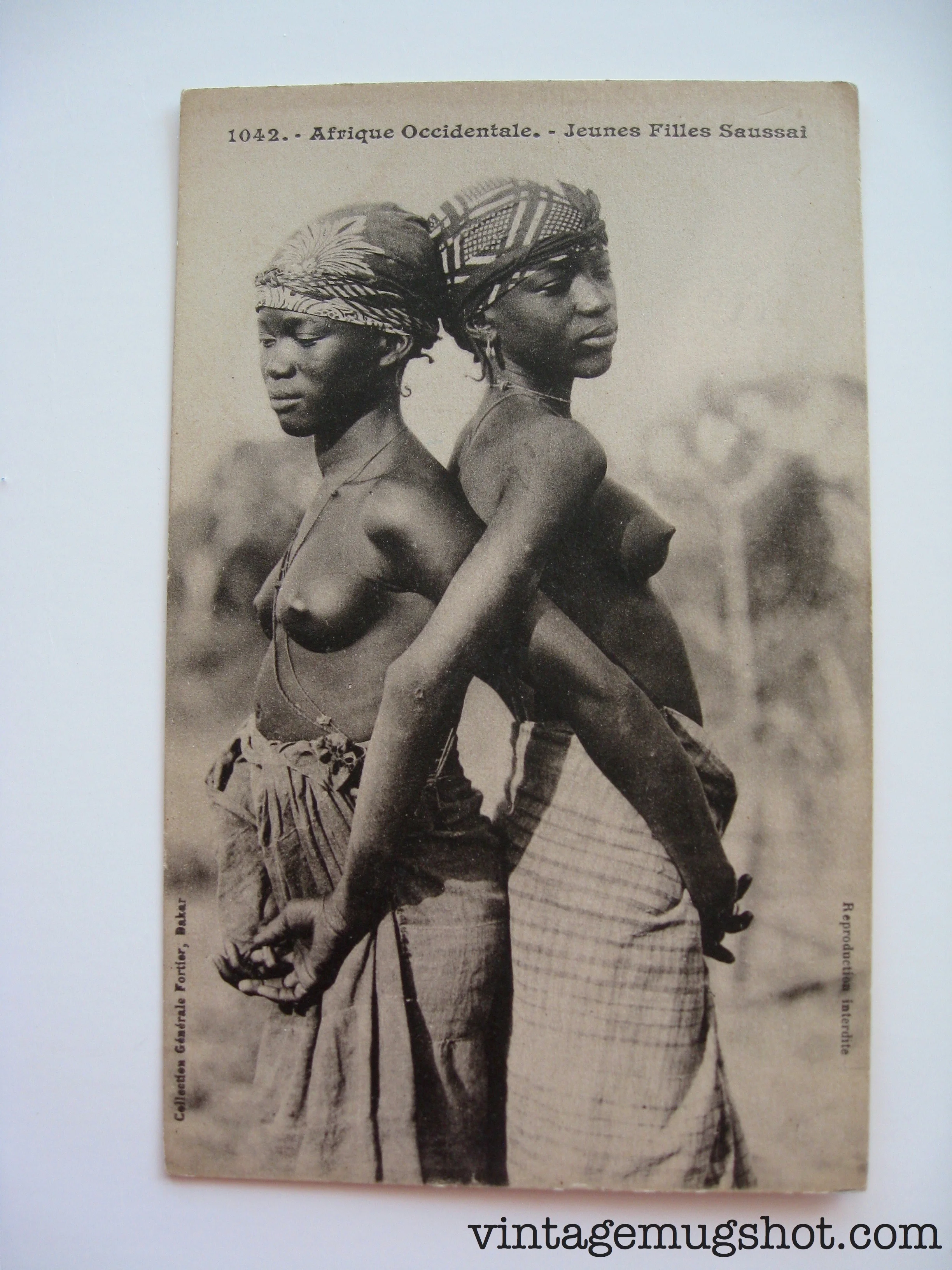 1042_afrique_1.jpg