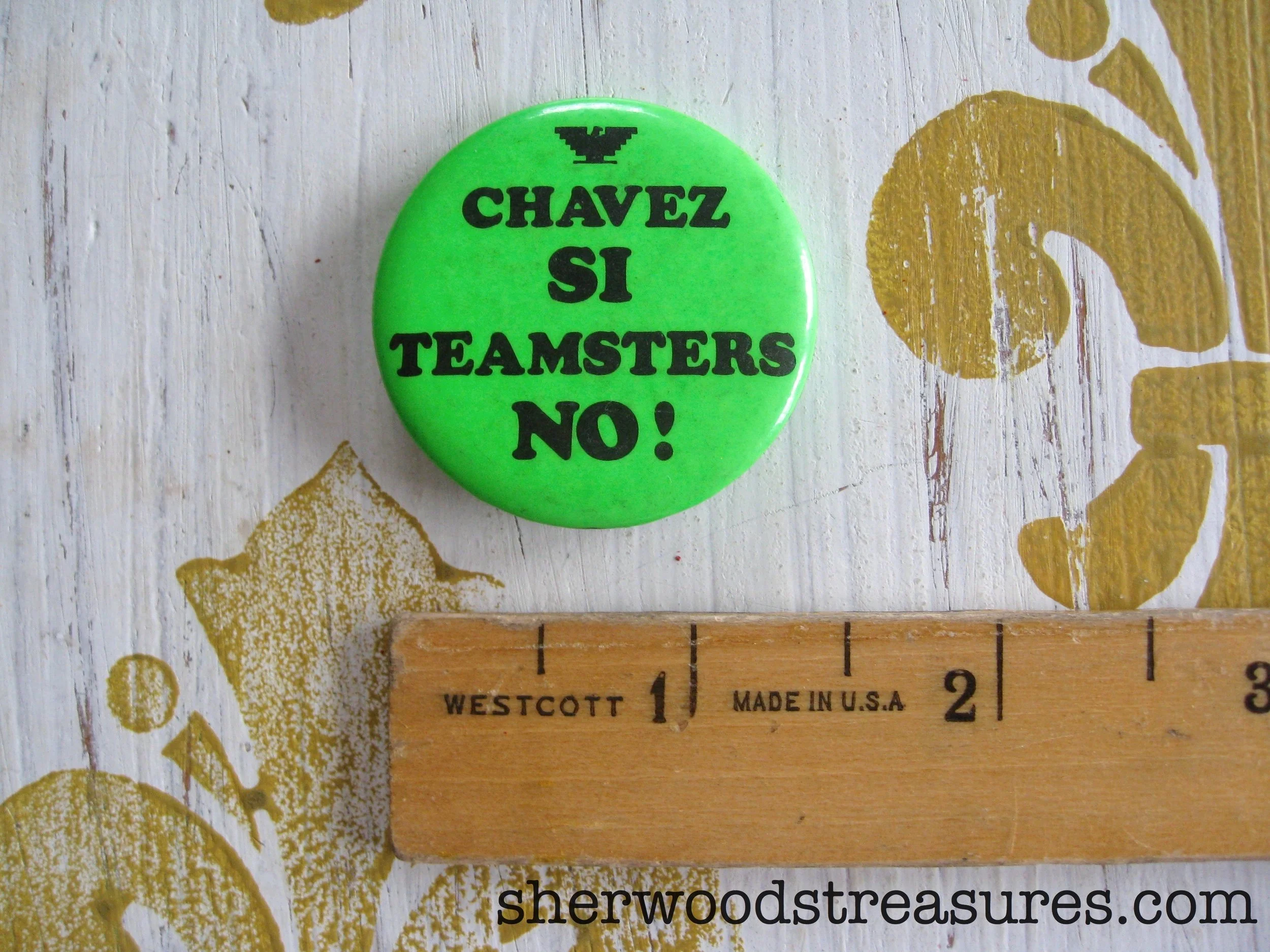 chavez_1.jpg
