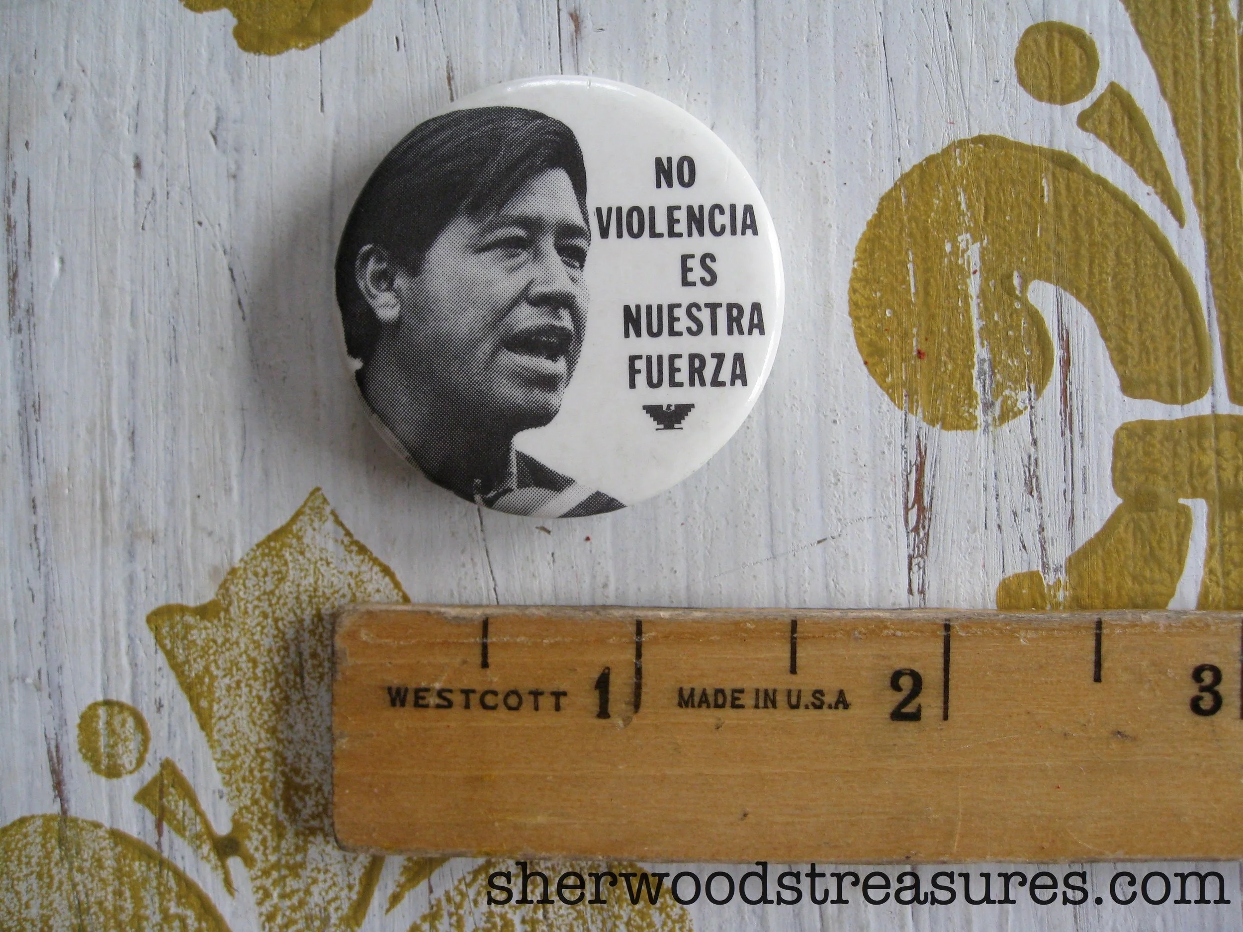 chavez_spanish_1.jpg