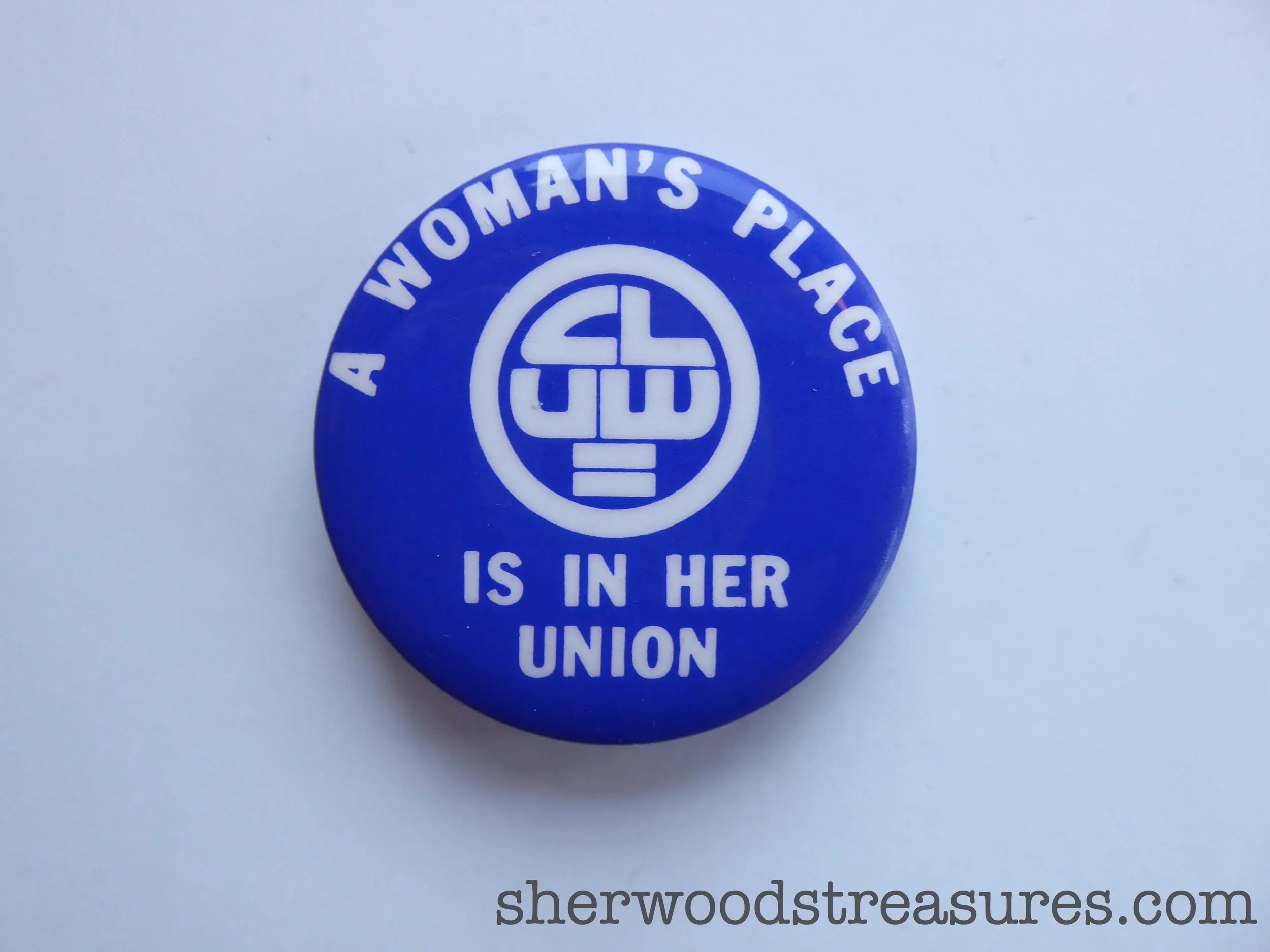 "A Woman's Place is in Her Union" 1970s Women’s Cause Button
