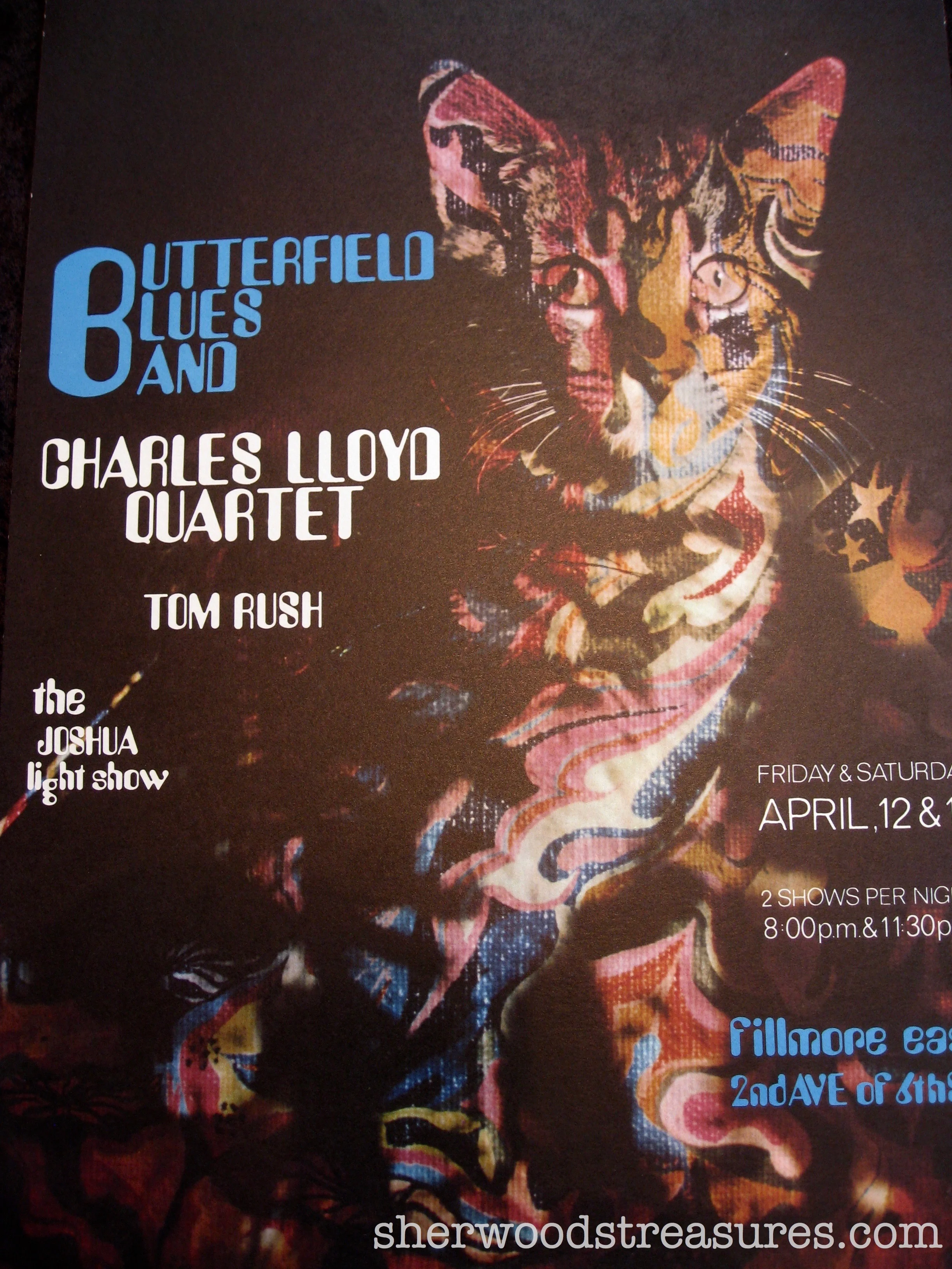 butterfield_3.jpg