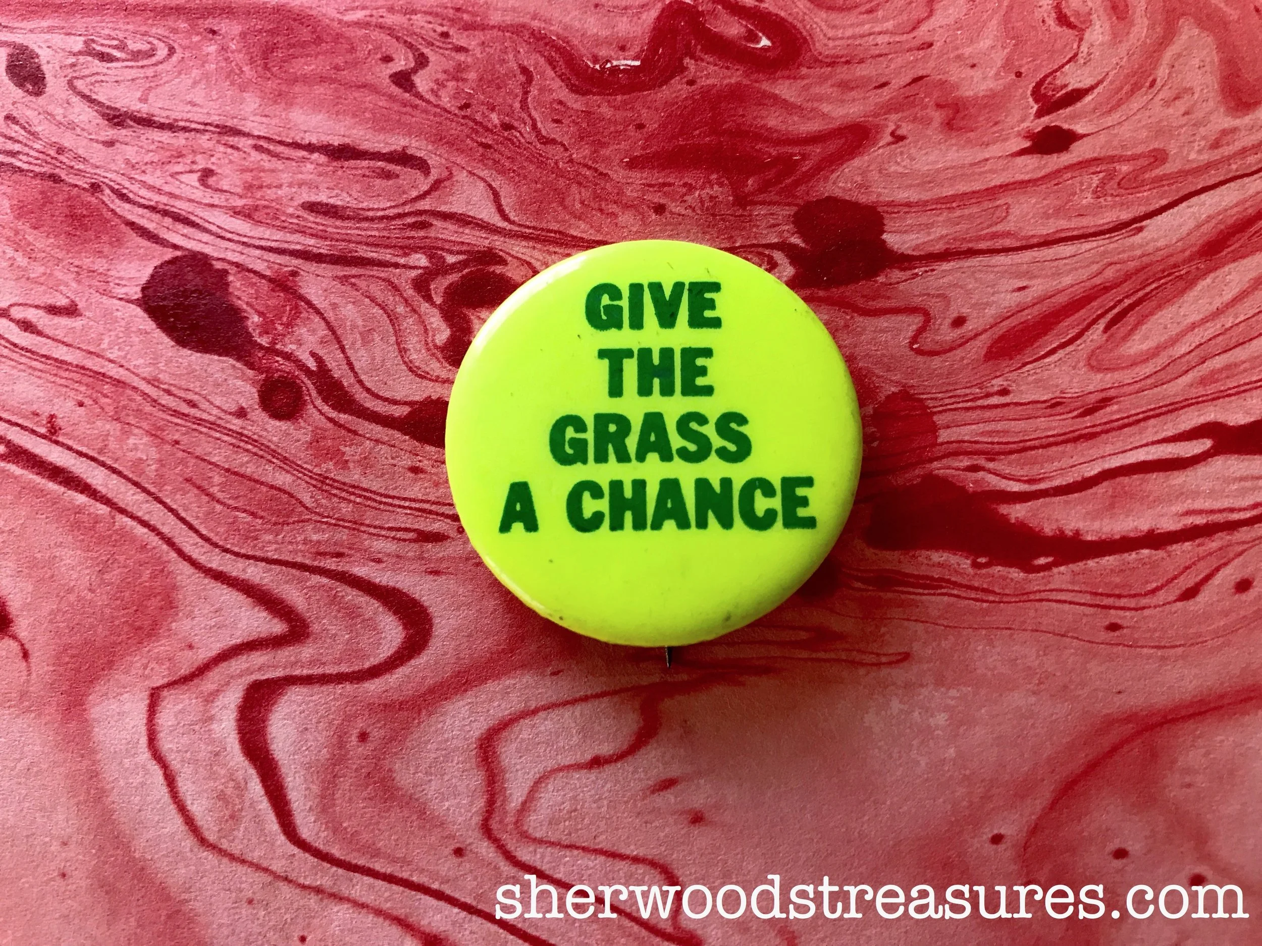 grass 1.jpg