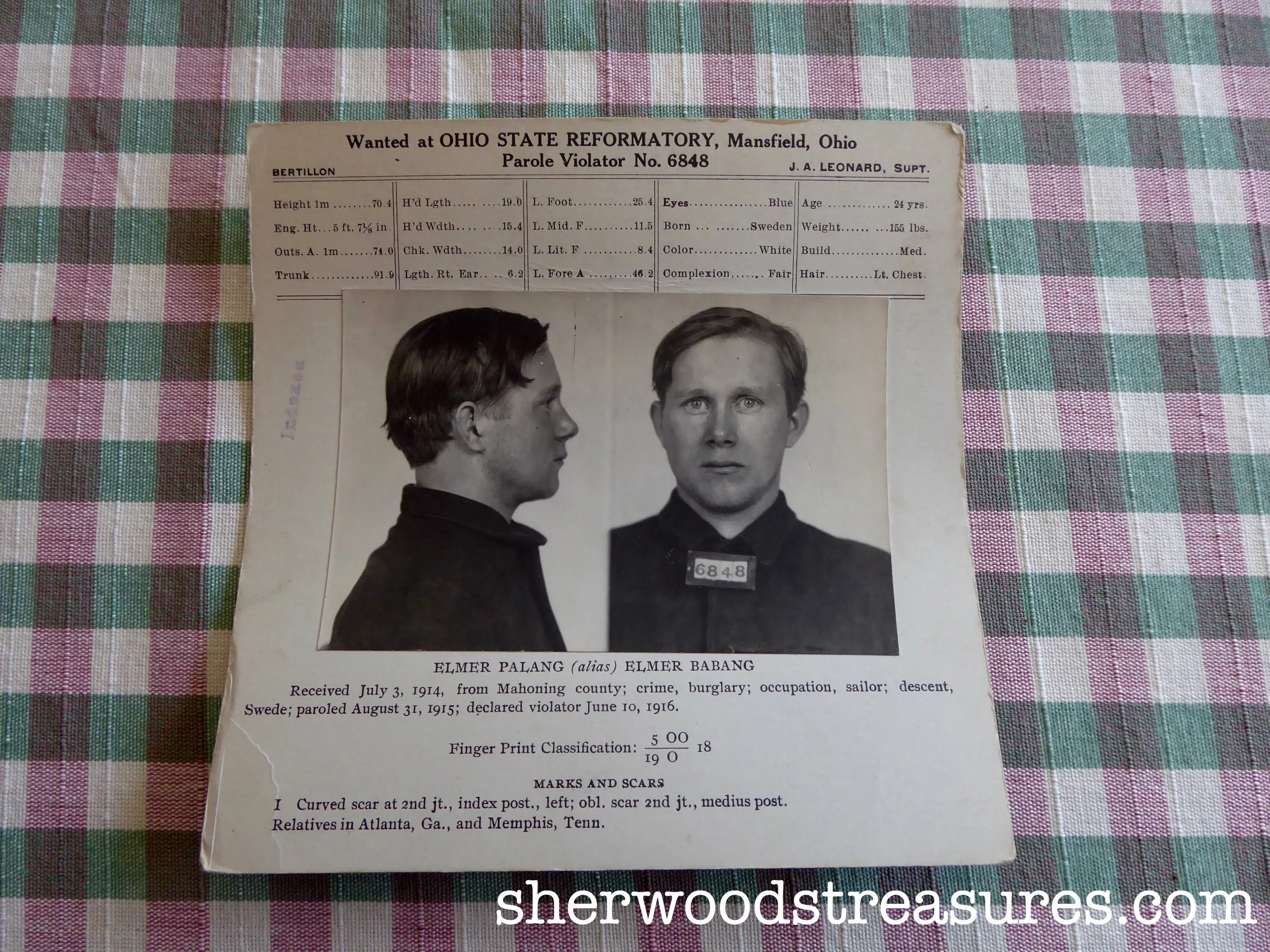 1916 - Wanted Swedish Sailor and Parole Violator