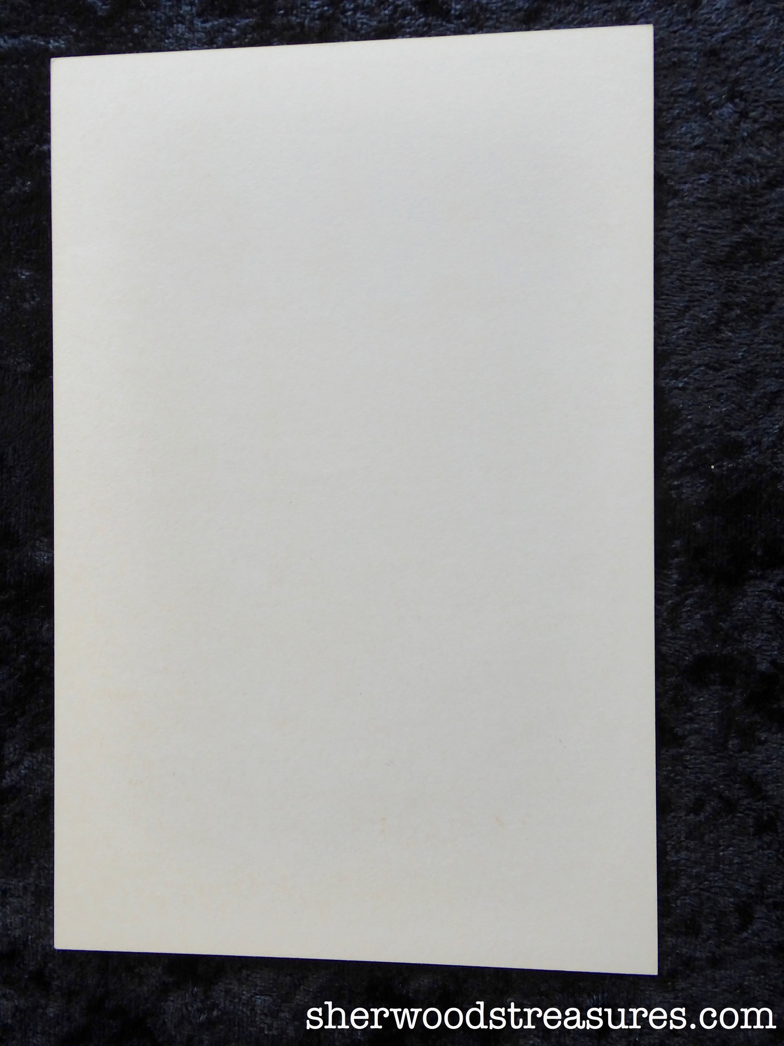 BG_222_2.jpg