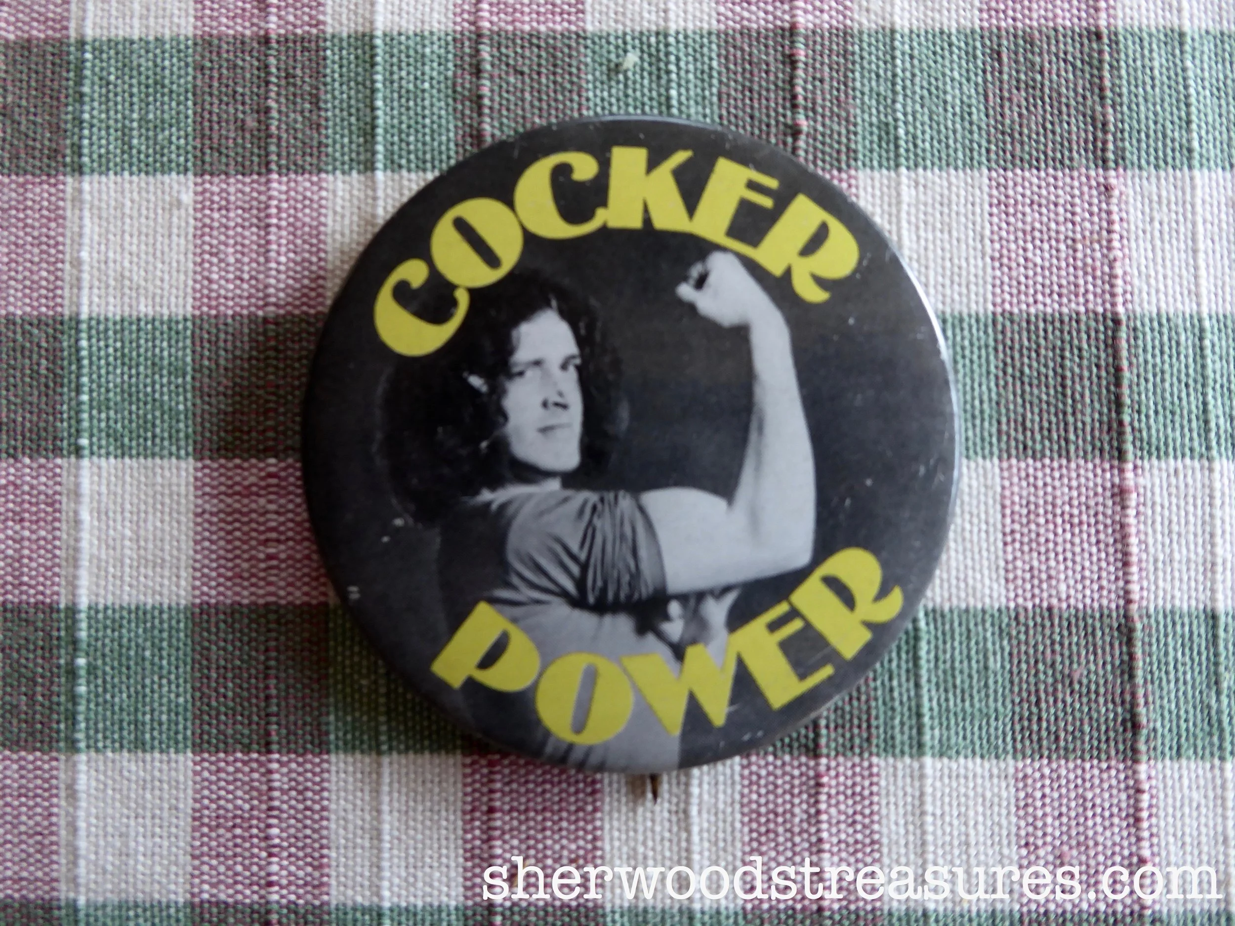 Joe Cocker "Cocker Power" Button