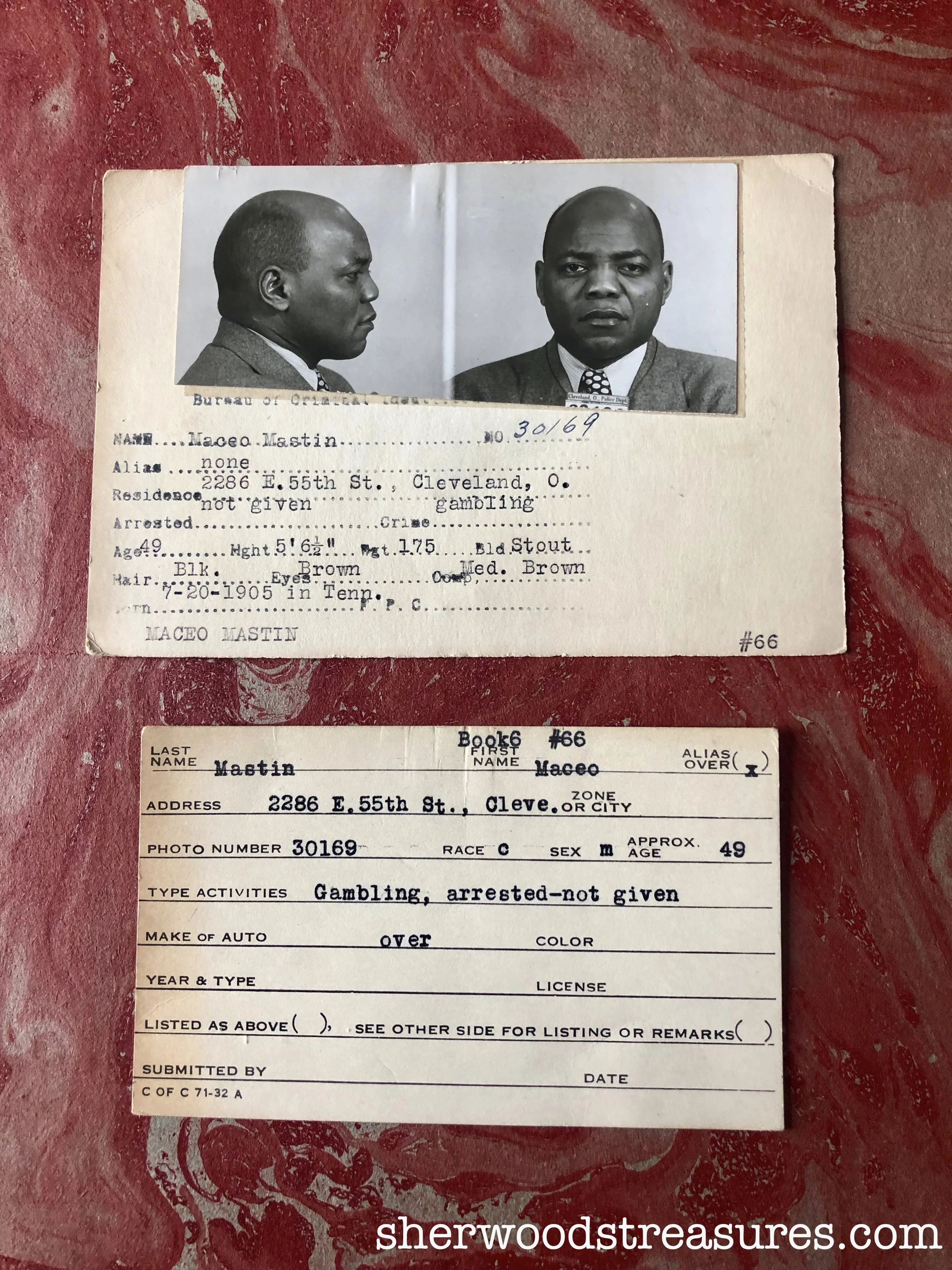 MACEO_1.jpg
