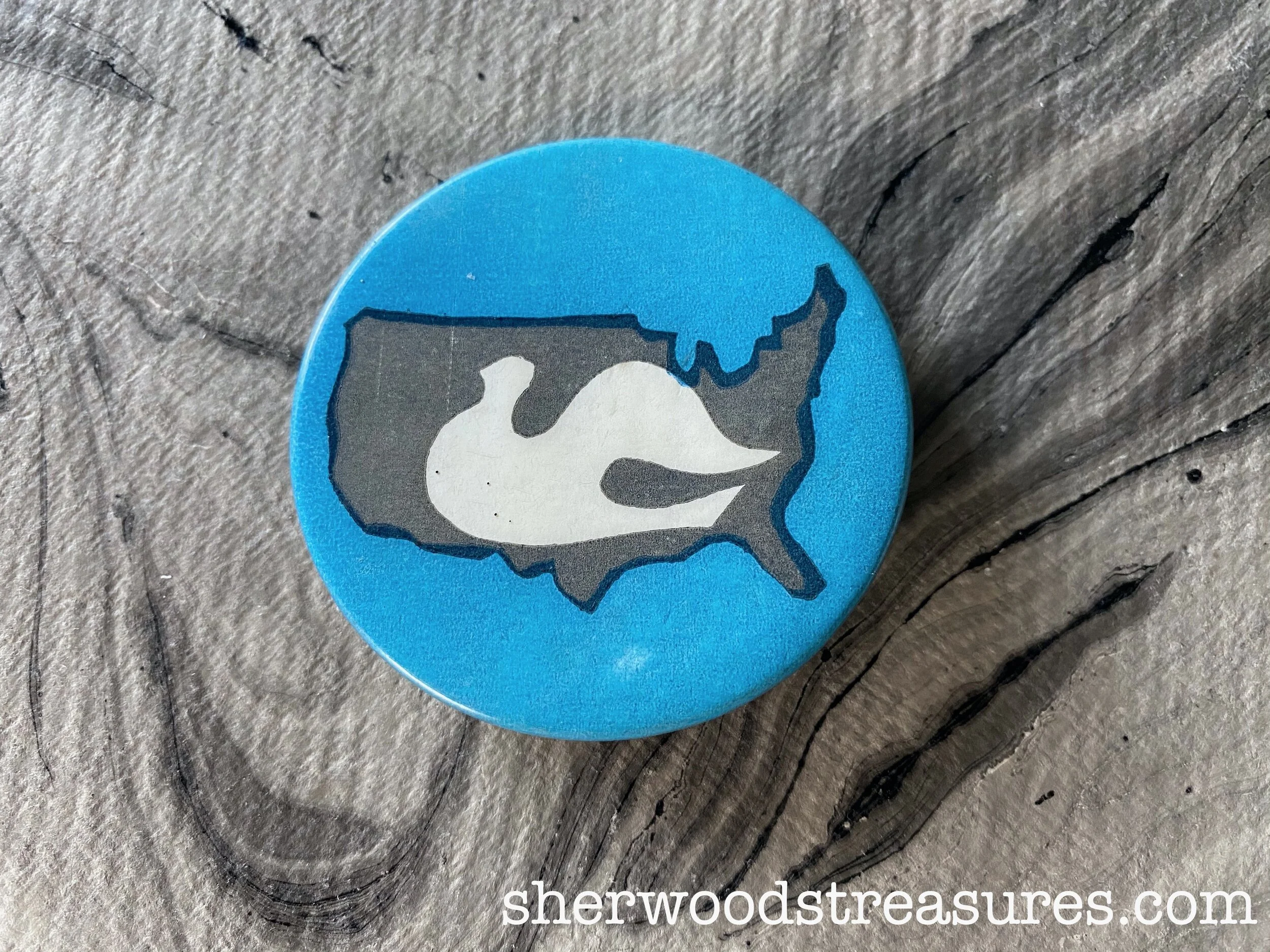 Vietnam Peace Parade Pinback with US and Dove