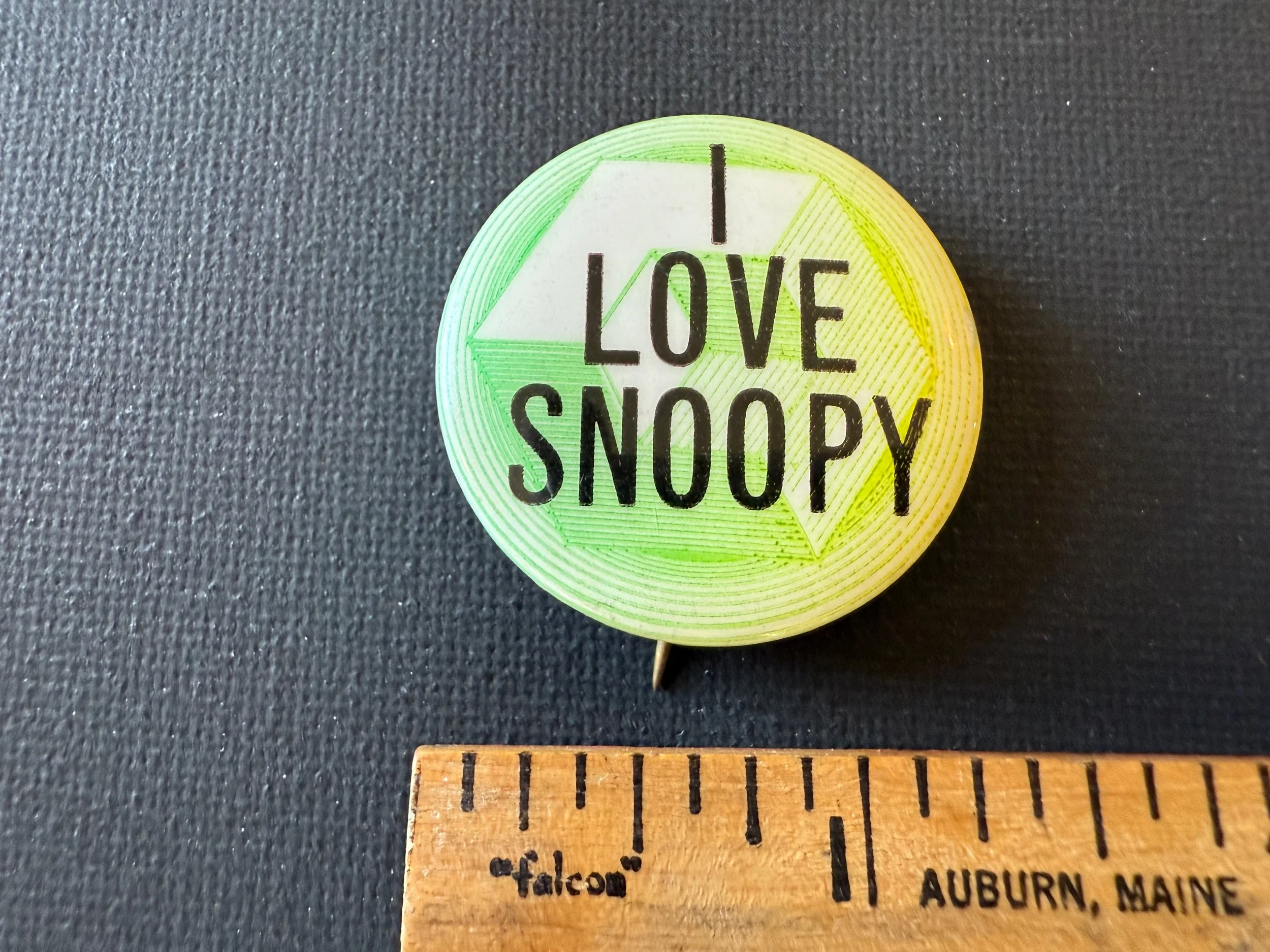 SNOO2.jpeg
