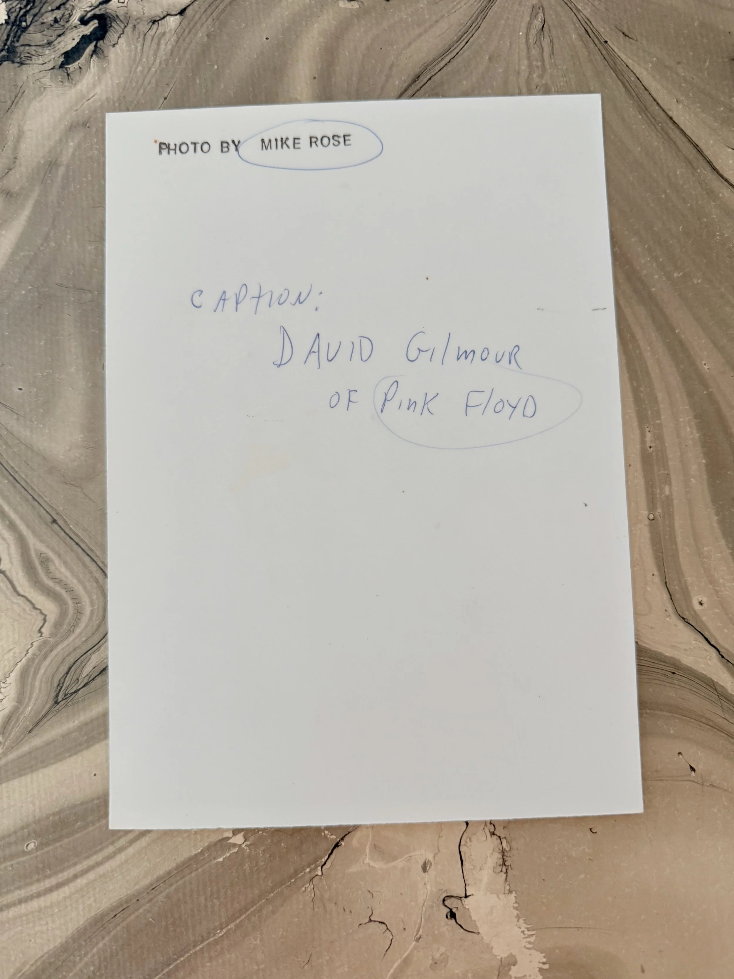 david 8 (1).jpeg