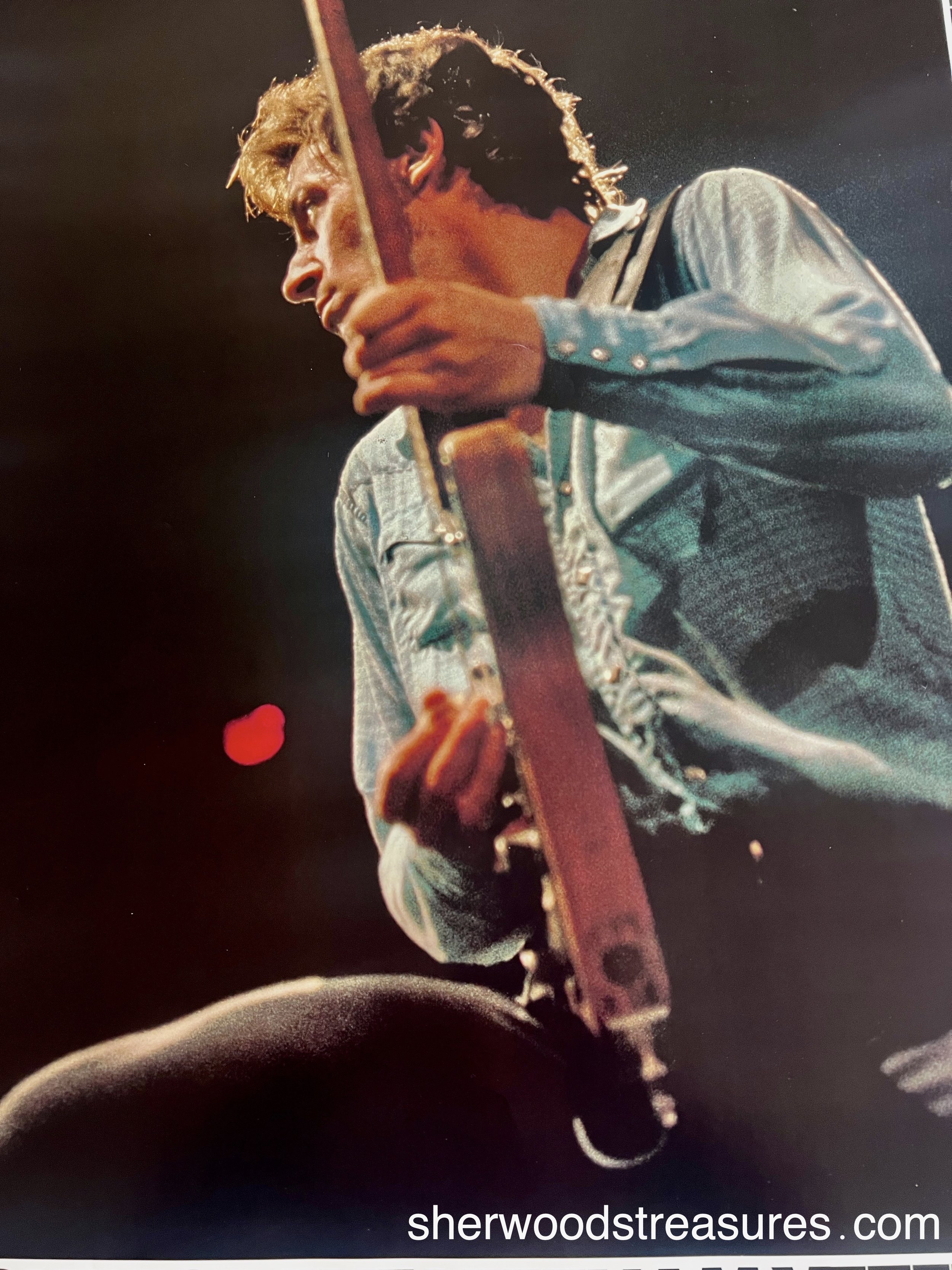 bruce 5 (copy 2).jpg