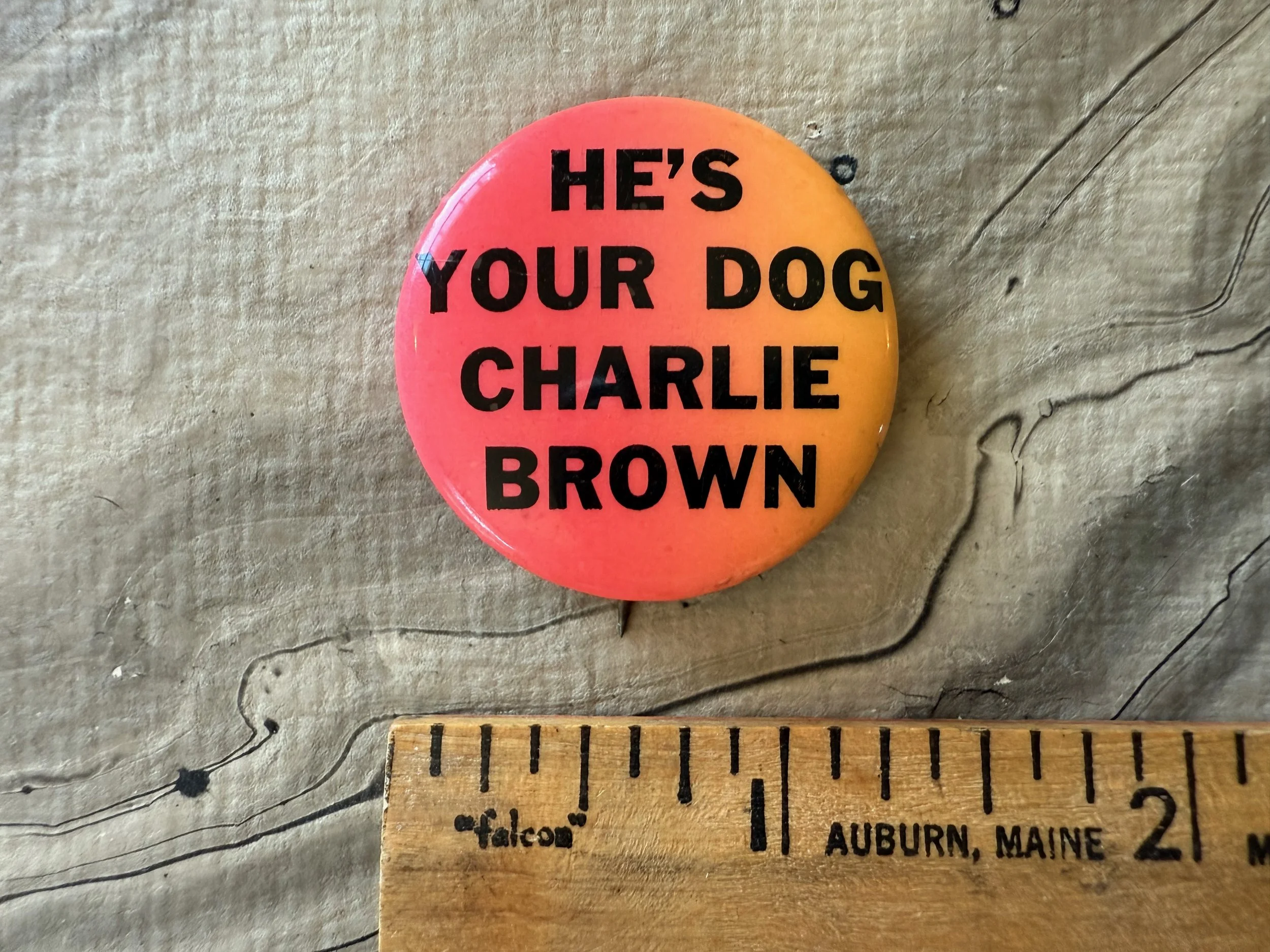 DOG 2 (2).jpeg