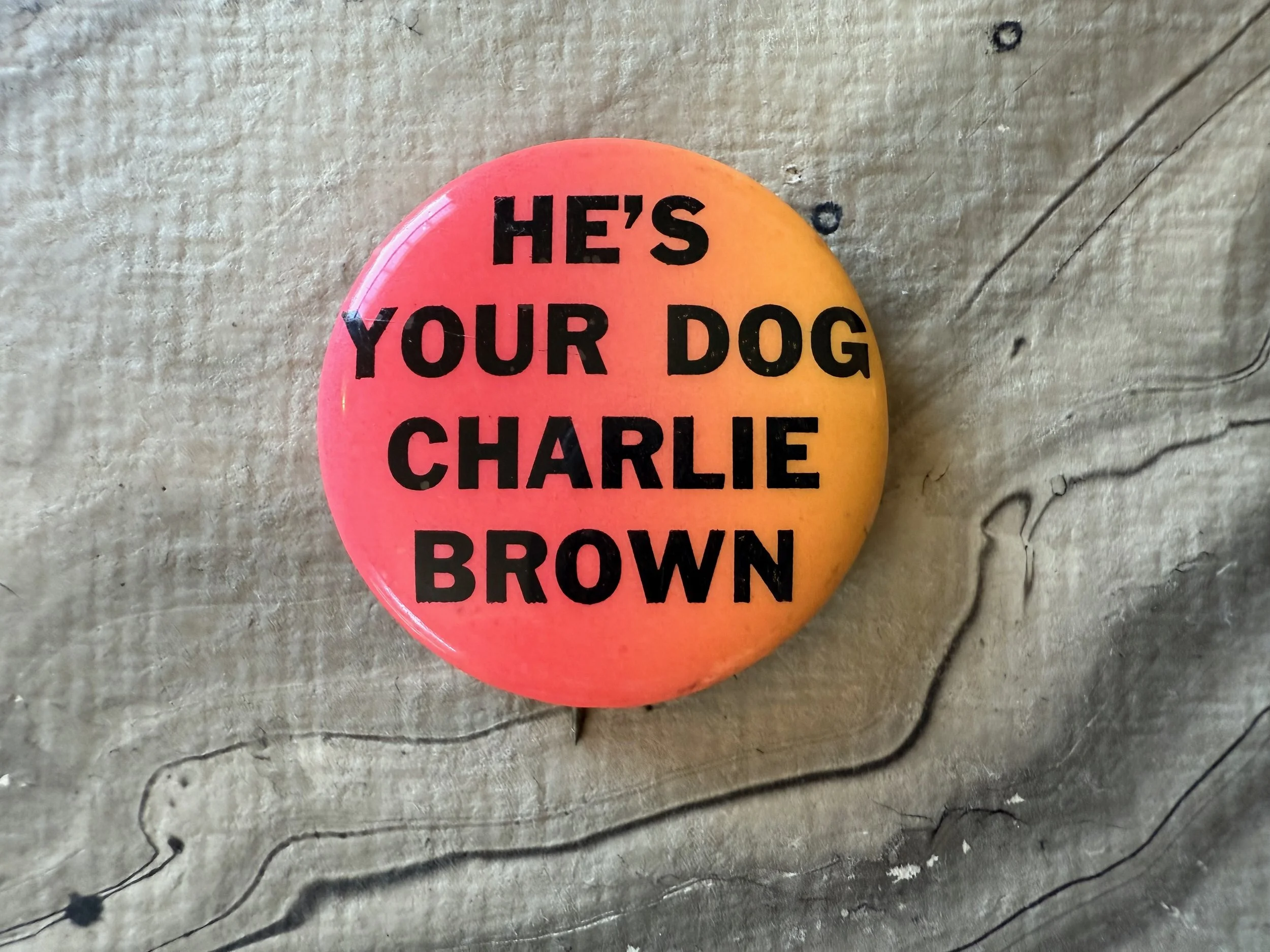 DOG 1 (2).jpeg