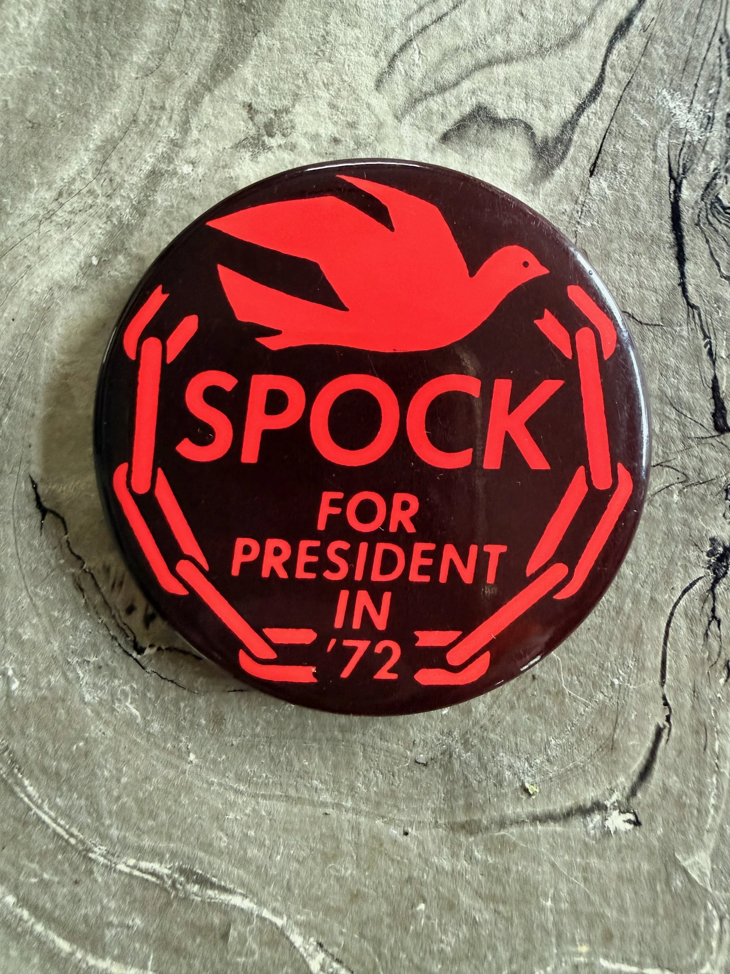 spock 1.jpeg