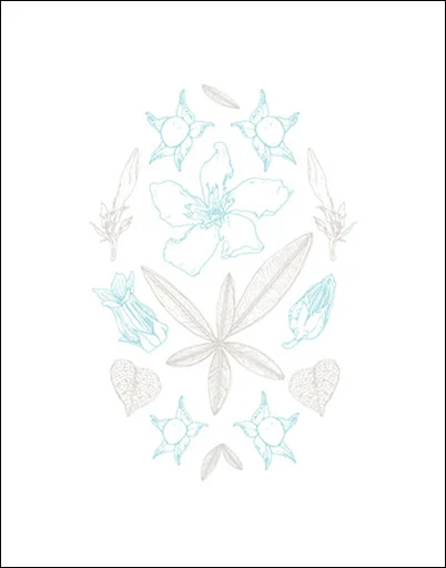 Botanicals: Wall Print