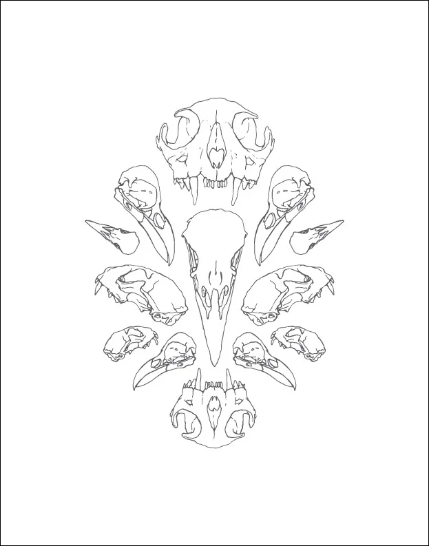skulls_wallprints_copy.jpg