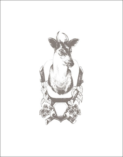taxidermymounts_wallprints-muntjac_crop.jpg