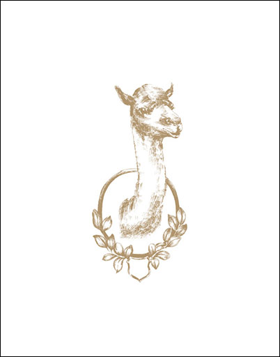 taxidermymounts_wallprints-camel_crop.jpg