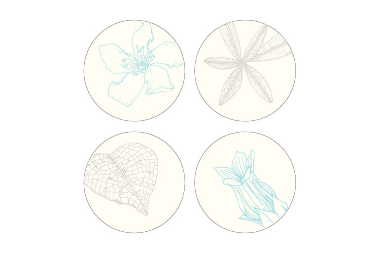 botanicals_coasters_crop.jpg