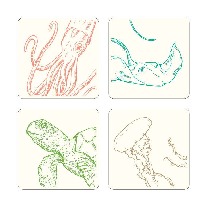 seacreatures_coasters.jpg
