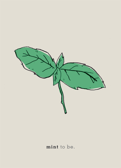 ss-01-mint.gif