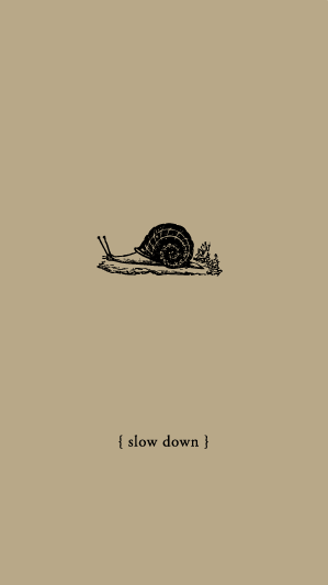 06.gif