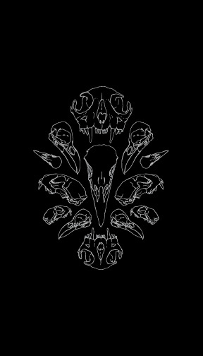 skulls_notebooks.jpg