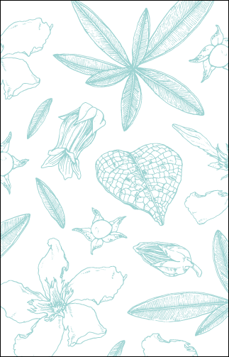 botanicals_card_pattern_border.gif