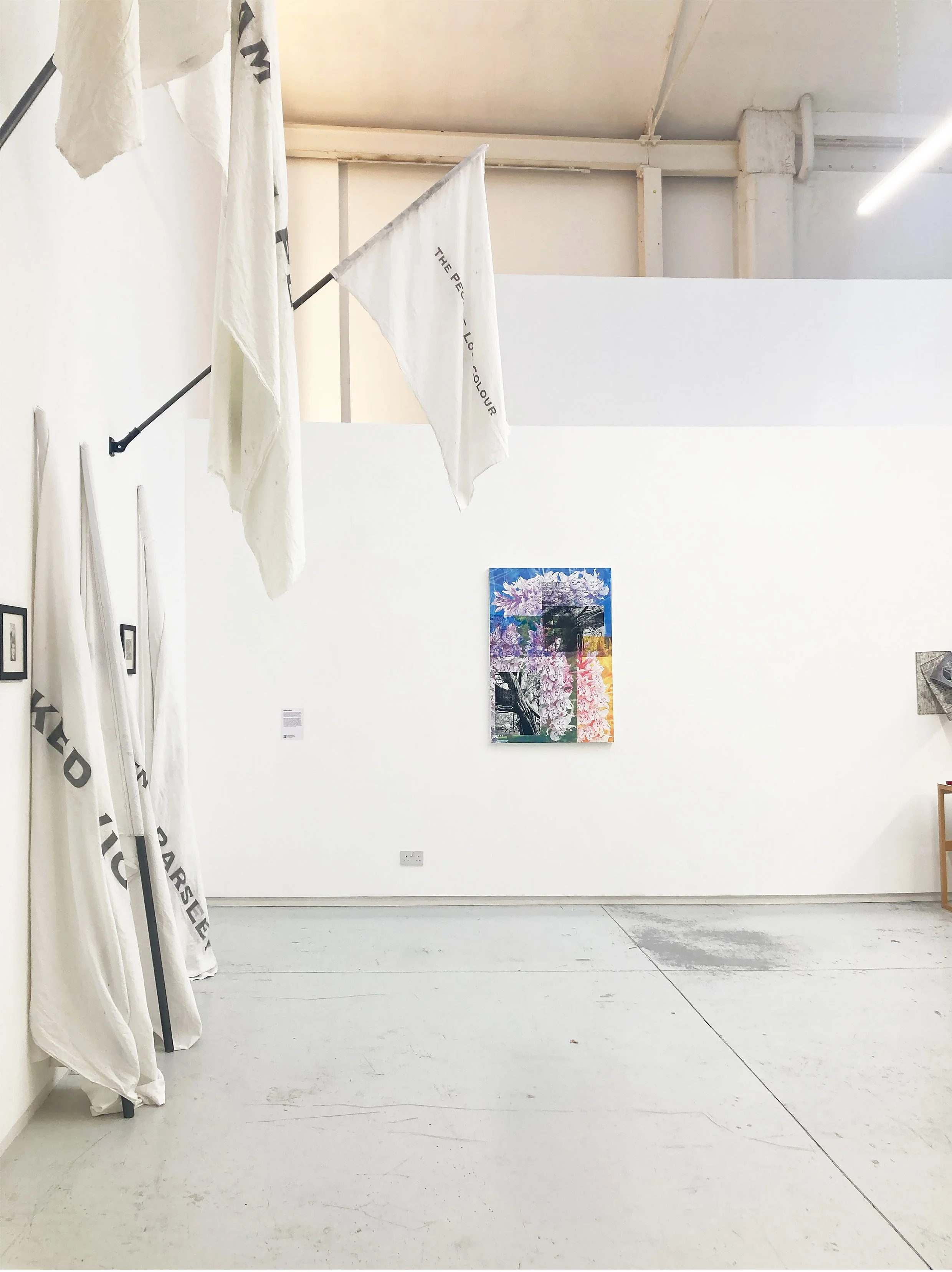 'Orchids & Yews' in The Doorway Effect works on left by: Karl Peter Penke