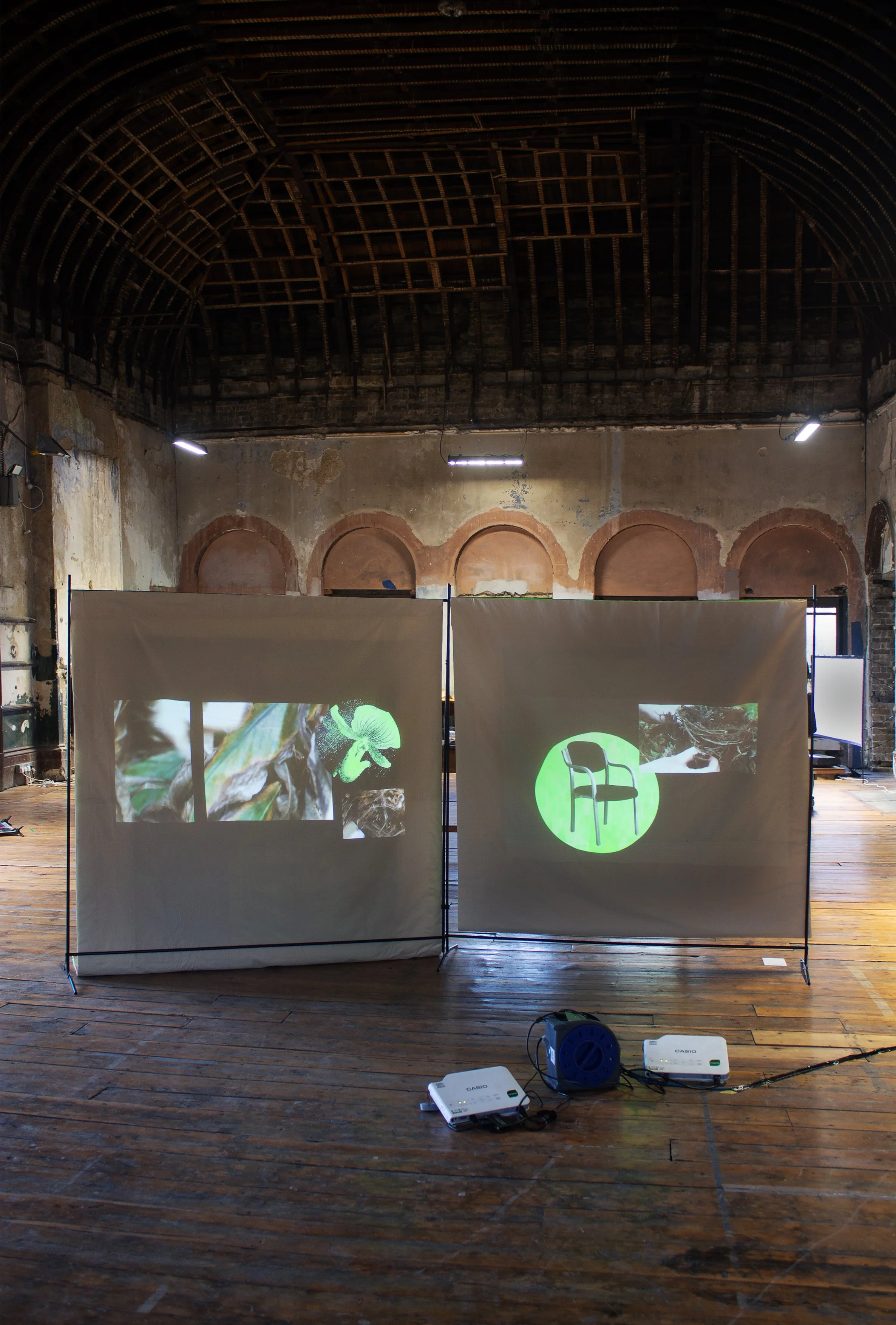 'The Waiting Room Hypothesis' in As If About To Whistle