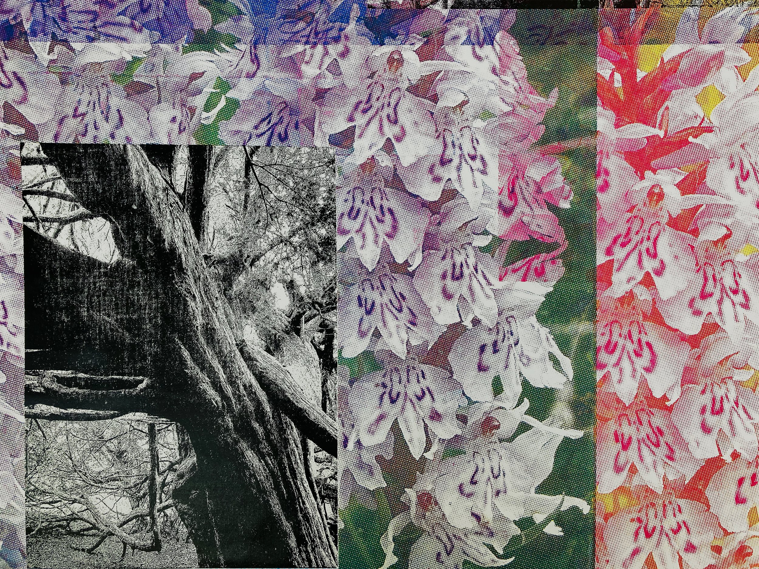 background for website.jpg