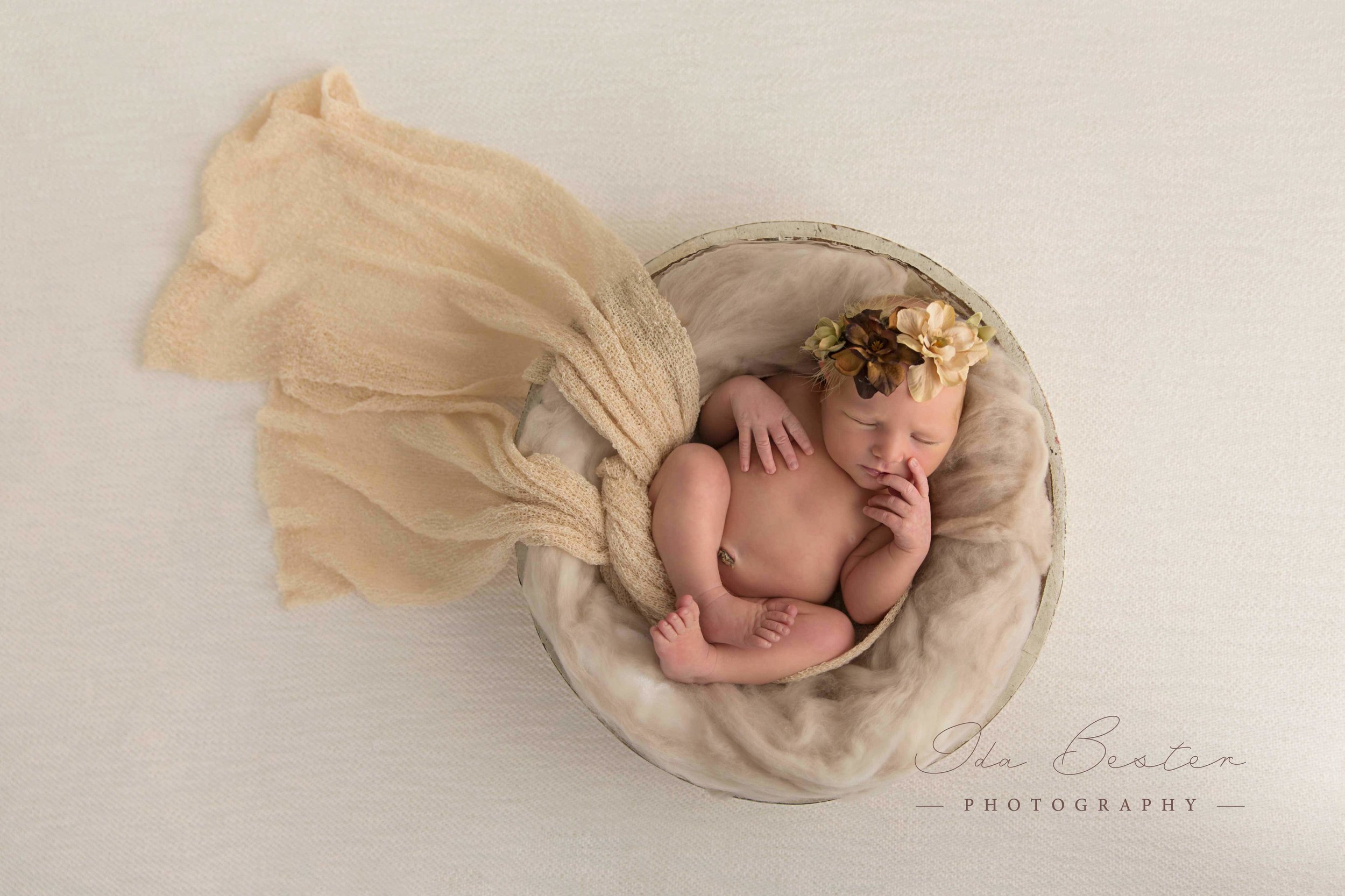 IdaBesterPhoto_H7A8596ColorWeb-Email-FB01.jpg