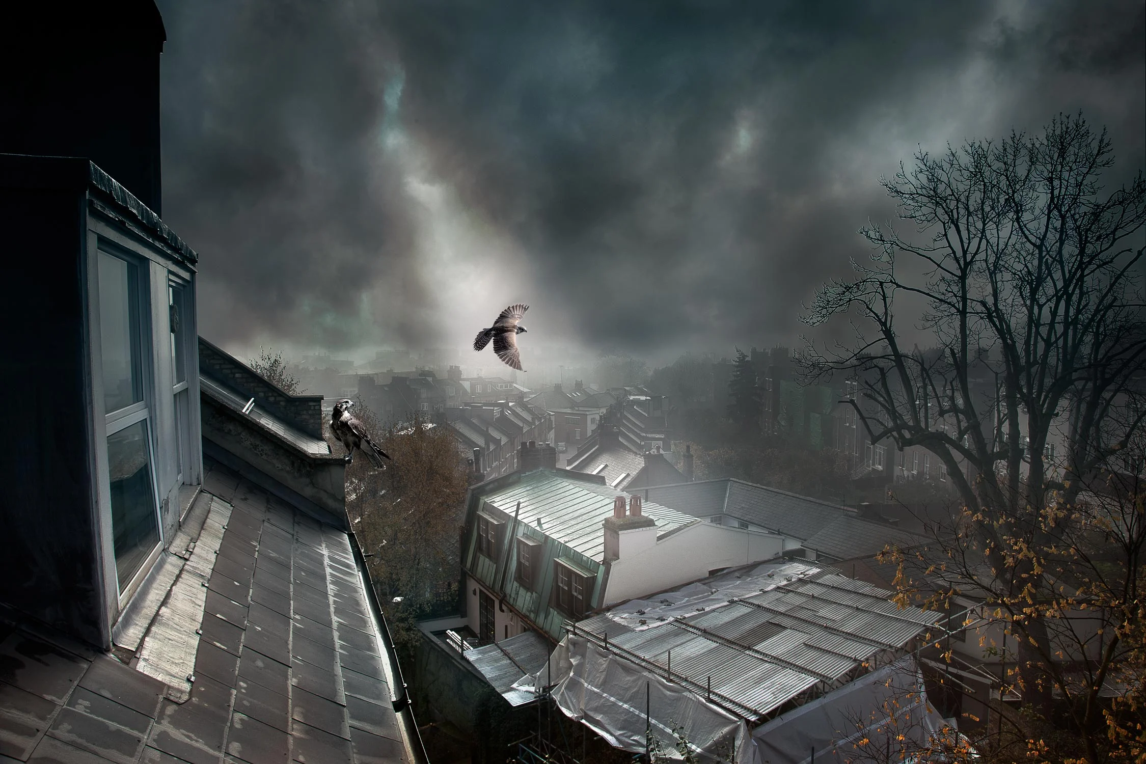 Belsize Park, London