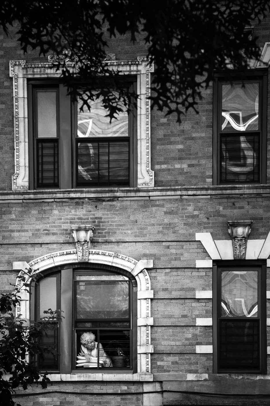 Brooklyn, 2015