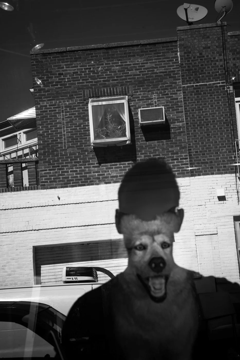 Self Portrait, Brooklyn, NY, 2015