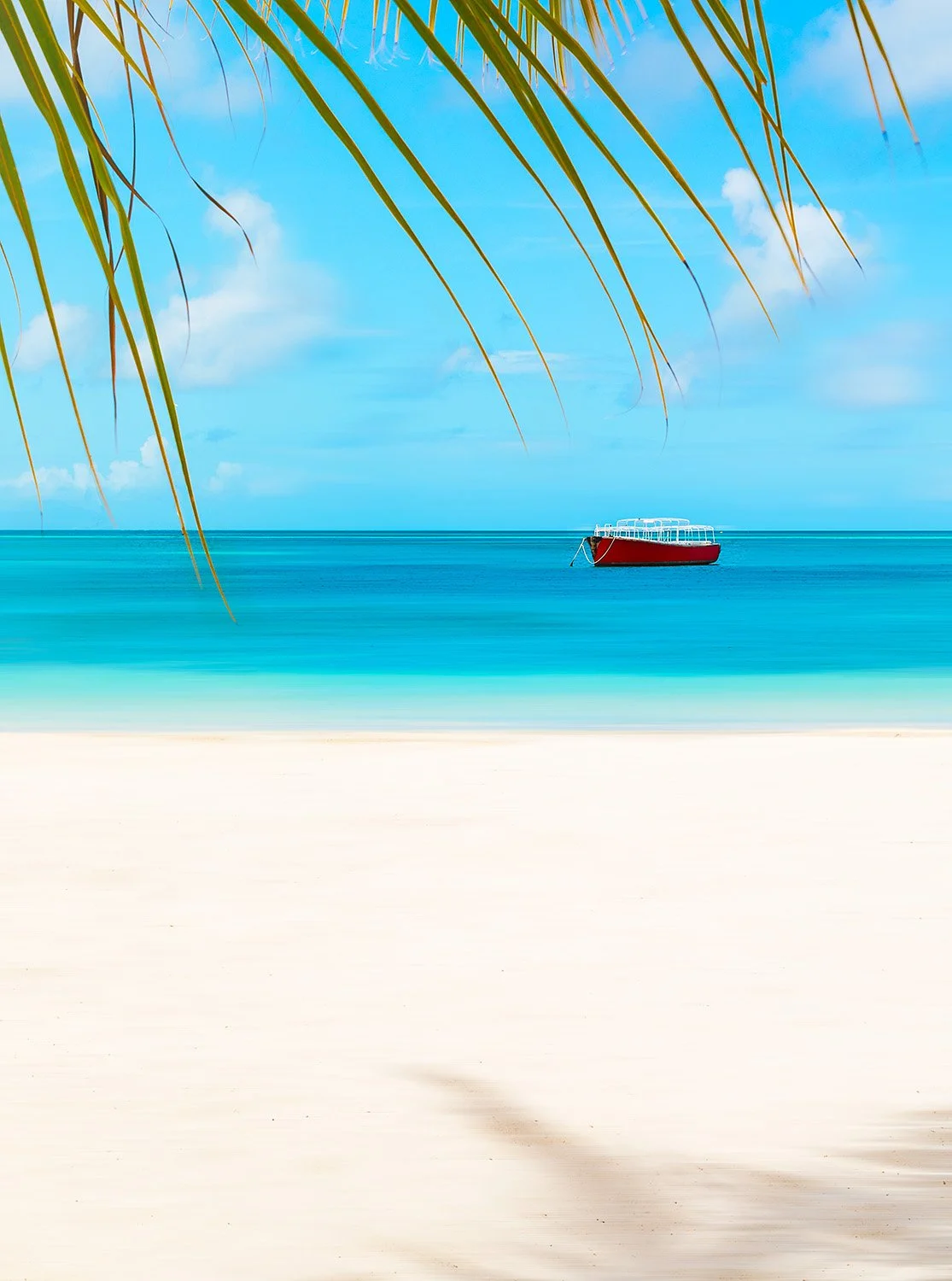 Caribbean Landscape
