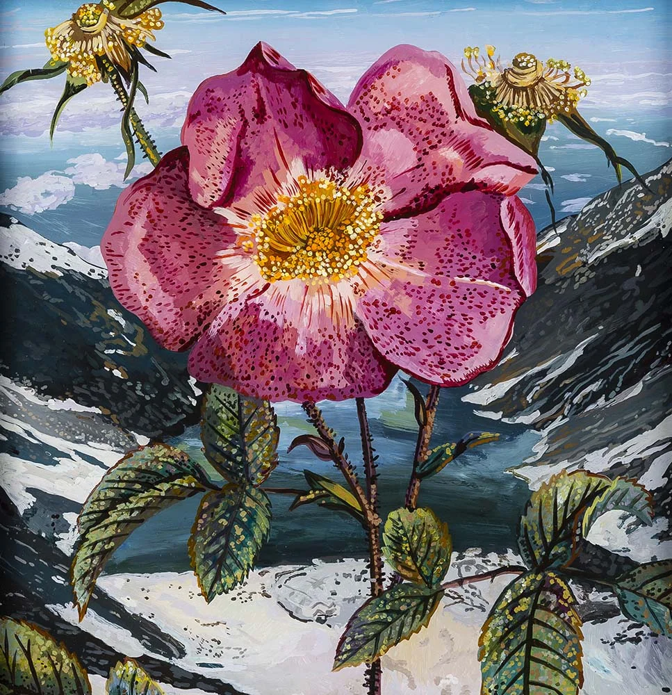 Glacial Rose Acrylic on plexiglass 12in x 12in 2015