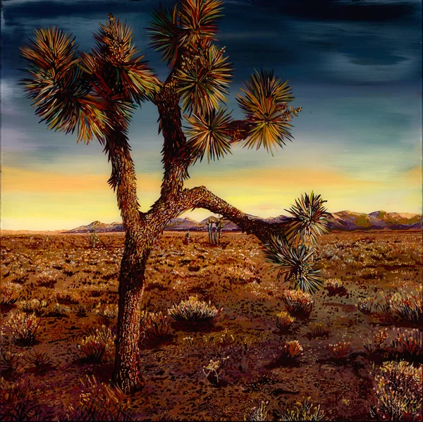 Mckay-Bent-Tree-2017.jpg