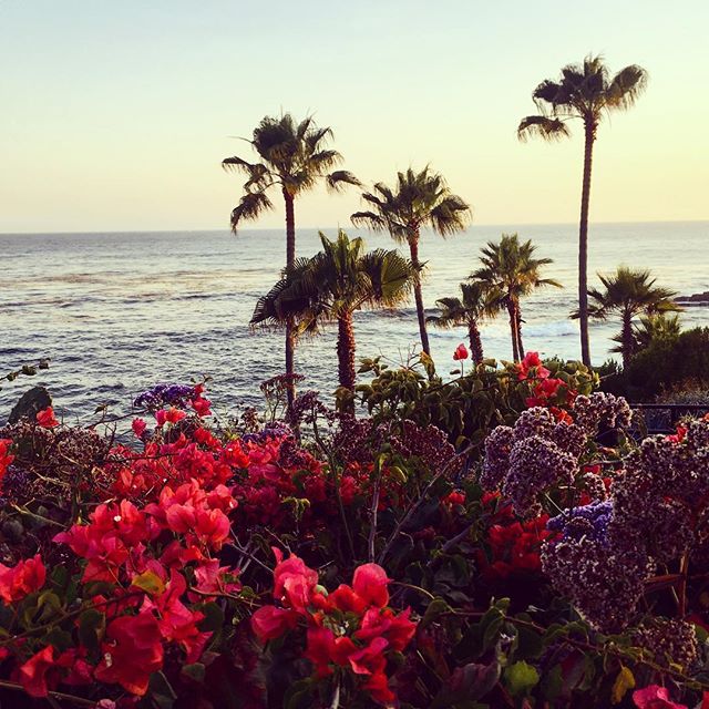 Laguna#heislerpark #coastal #summer #hearwavescrashing