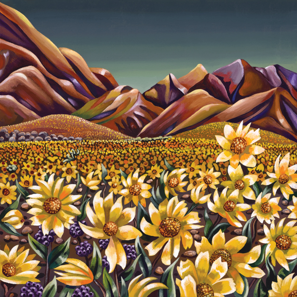 Mckay-Daisy-Field.jpg