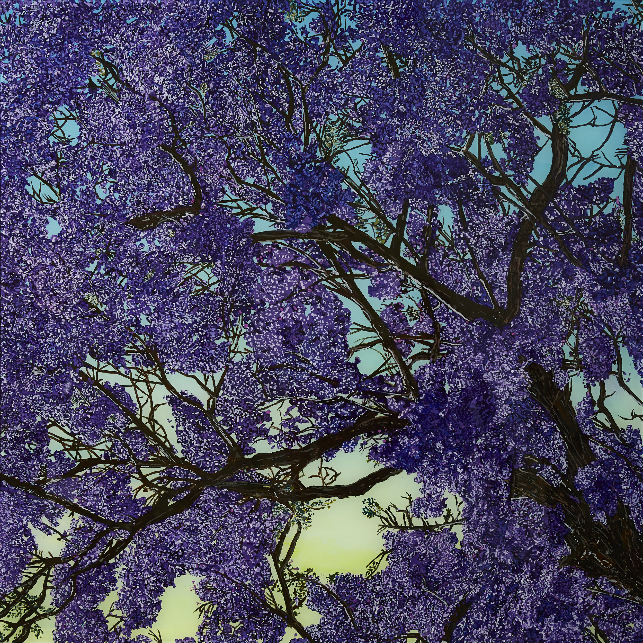 Jacaranda Twilight