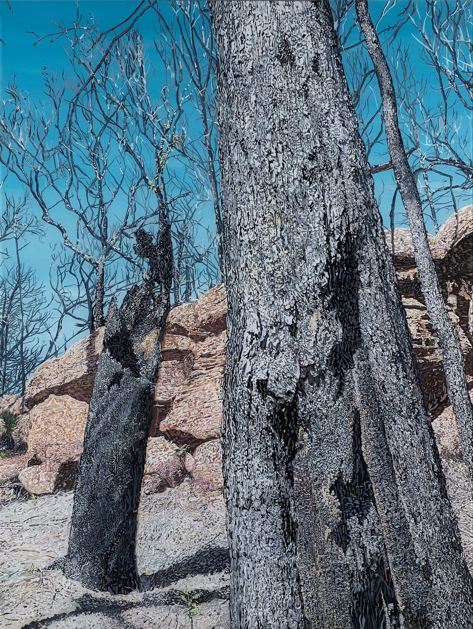 Burnt Rainforest Glengarry