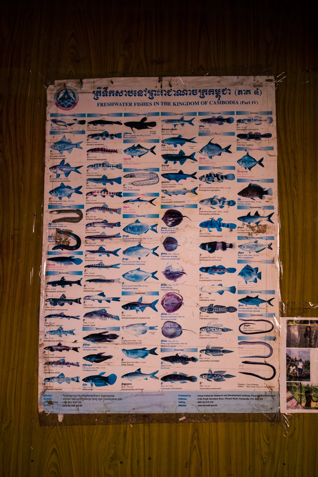 DSC04104.jpg