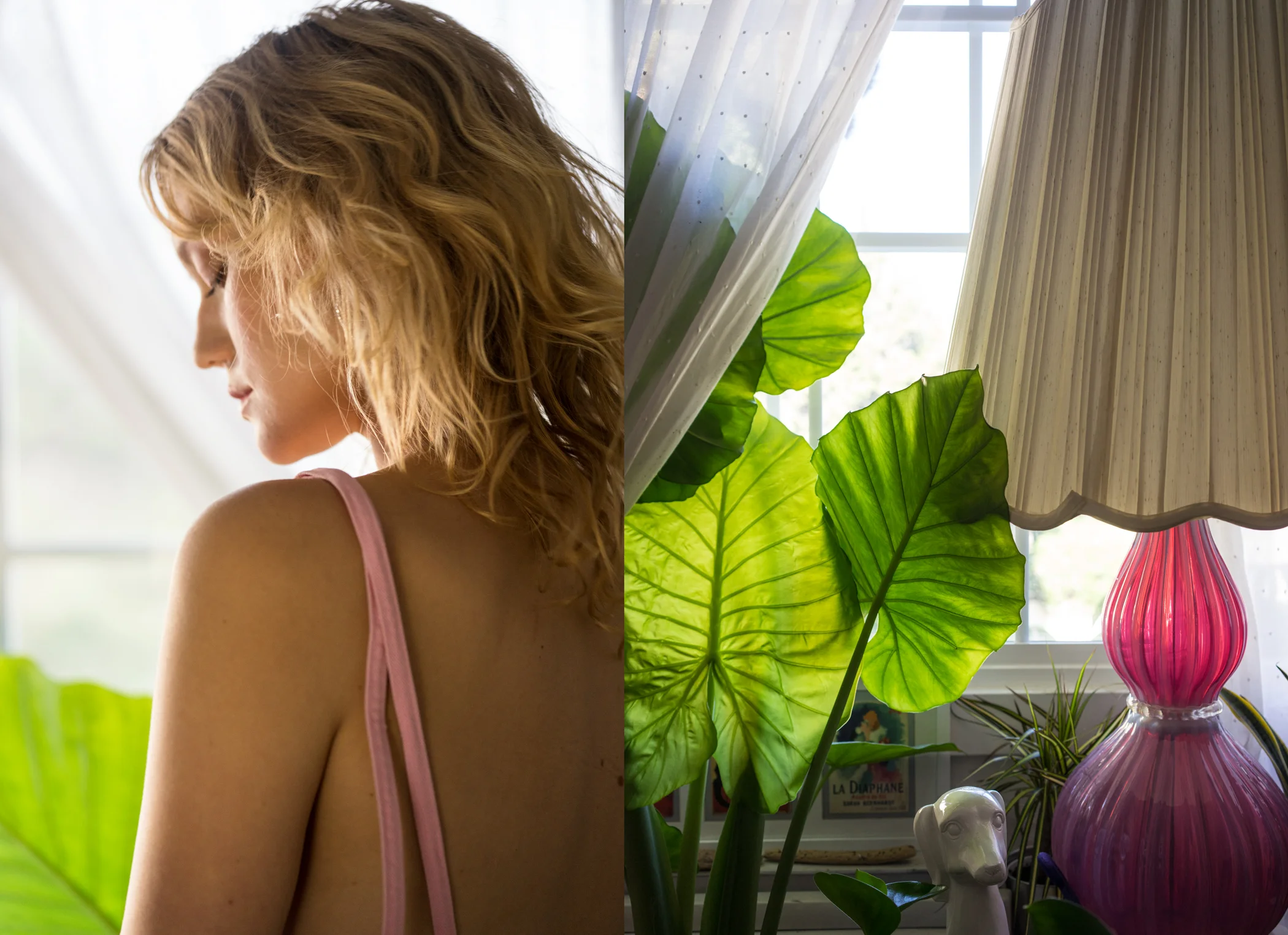 daniellediptypch4.jpg