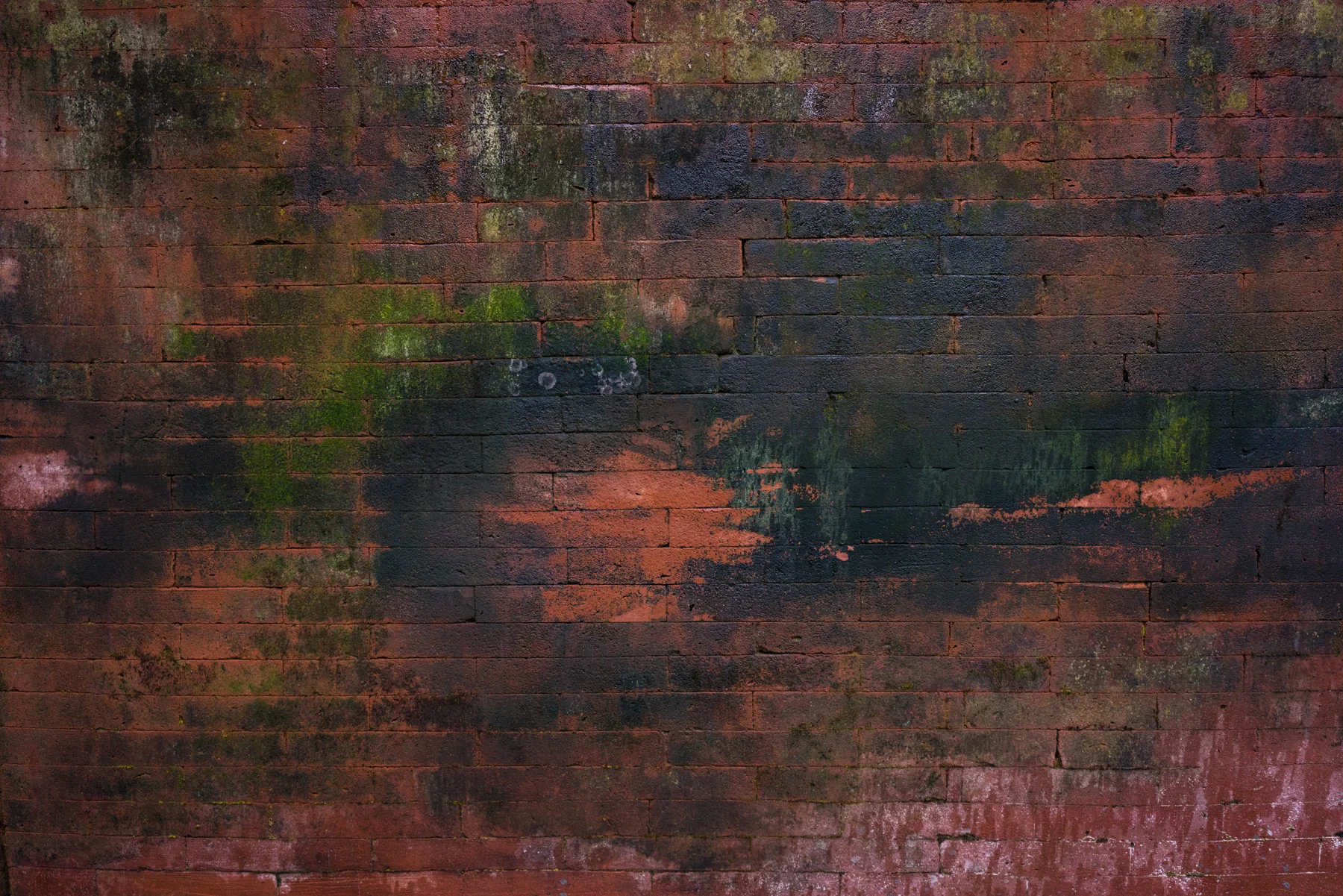 DSC01175.jpg