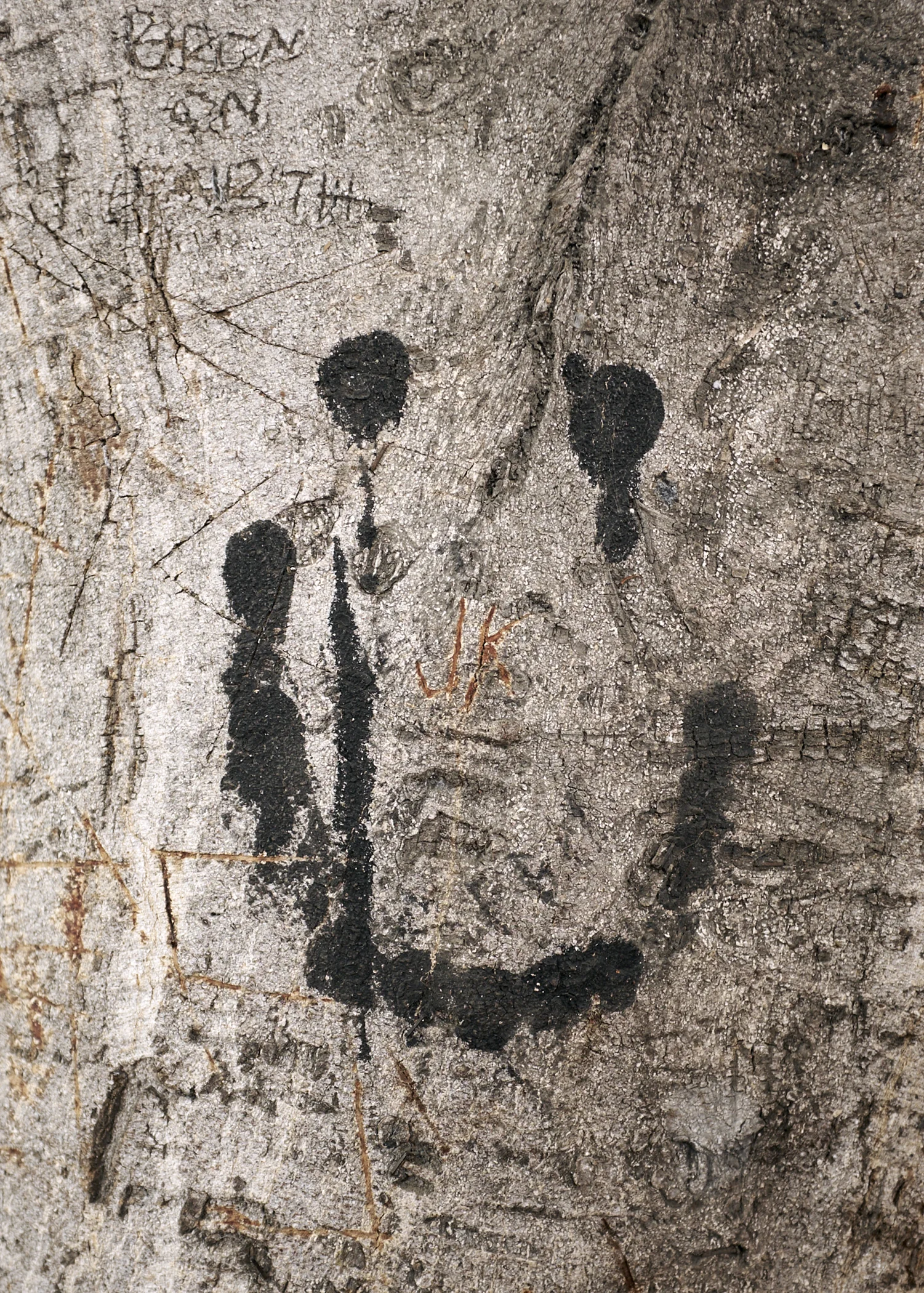 Taylor Galloway_Happy Tree_.jpg