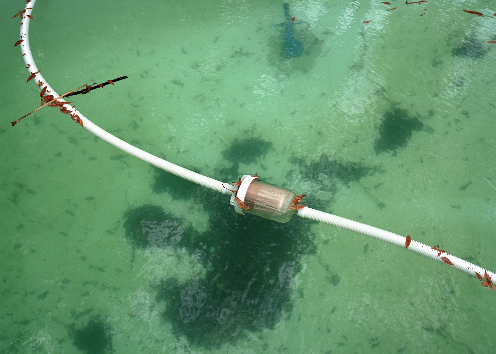 TTG_POOL CLEANER_.jpg