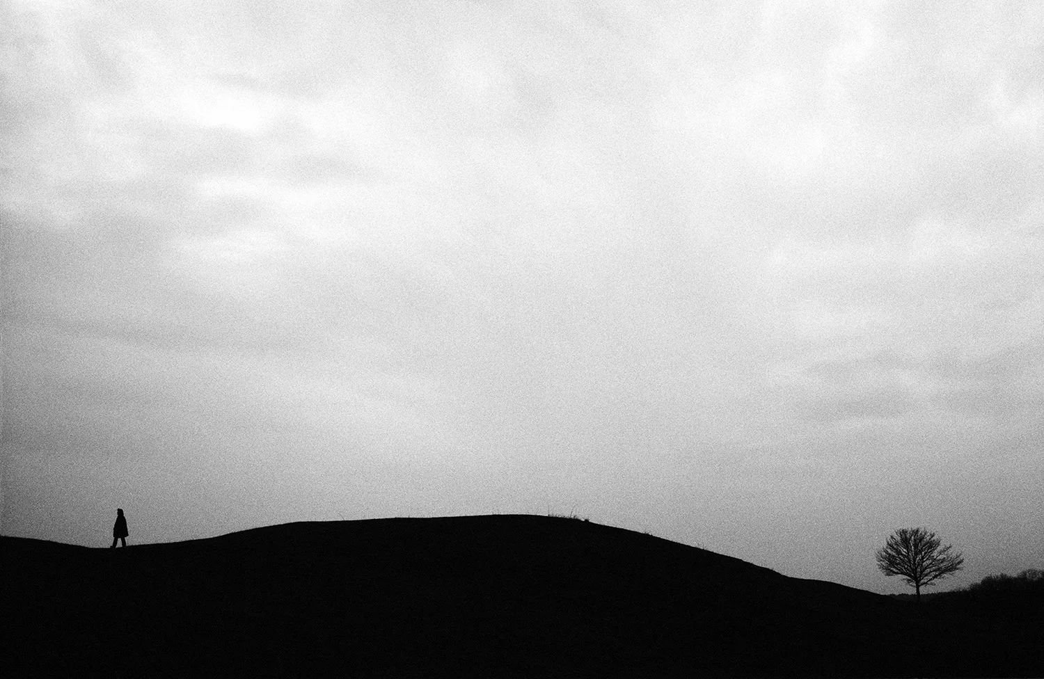 JOHNÉR IMAGES