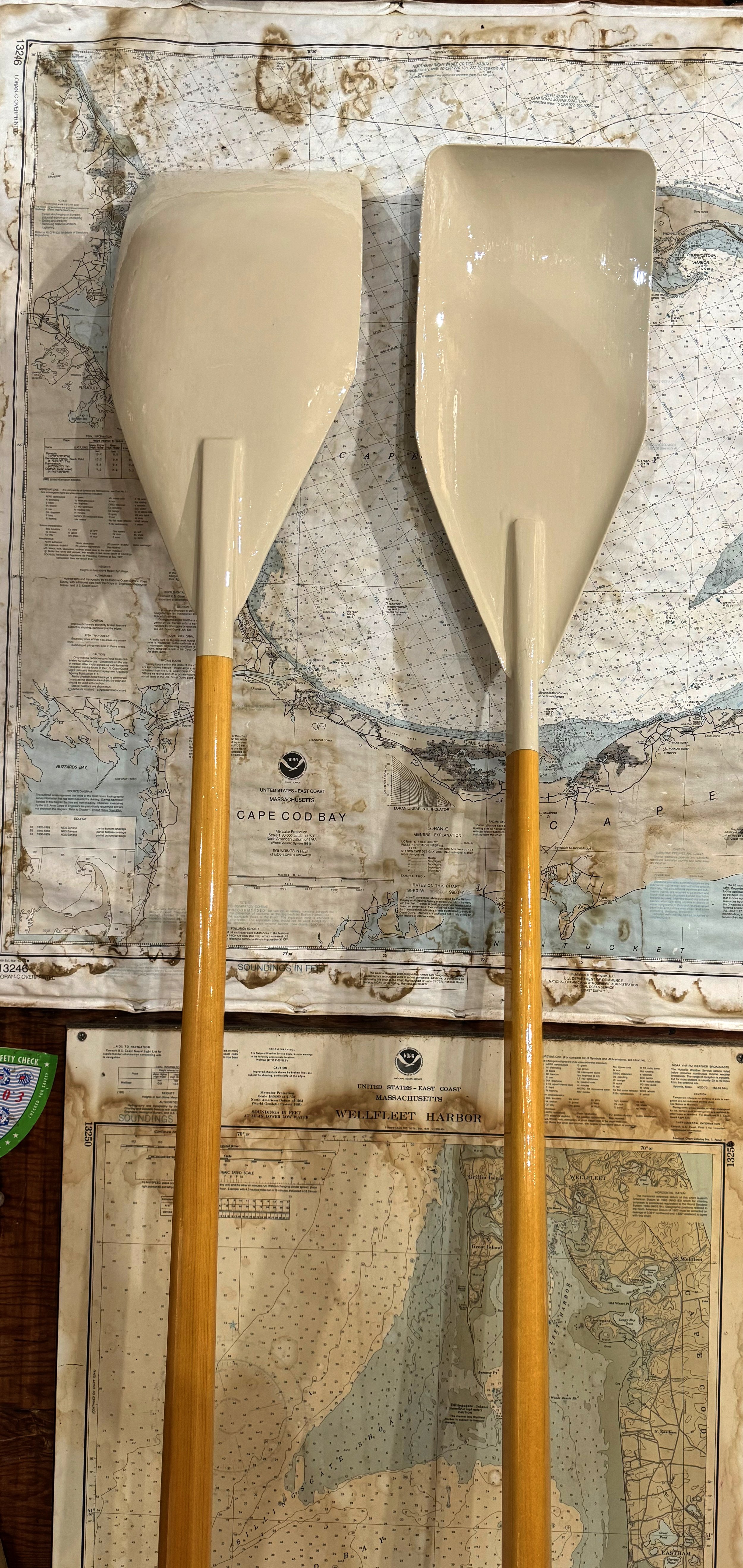 Shop made Gaco oars