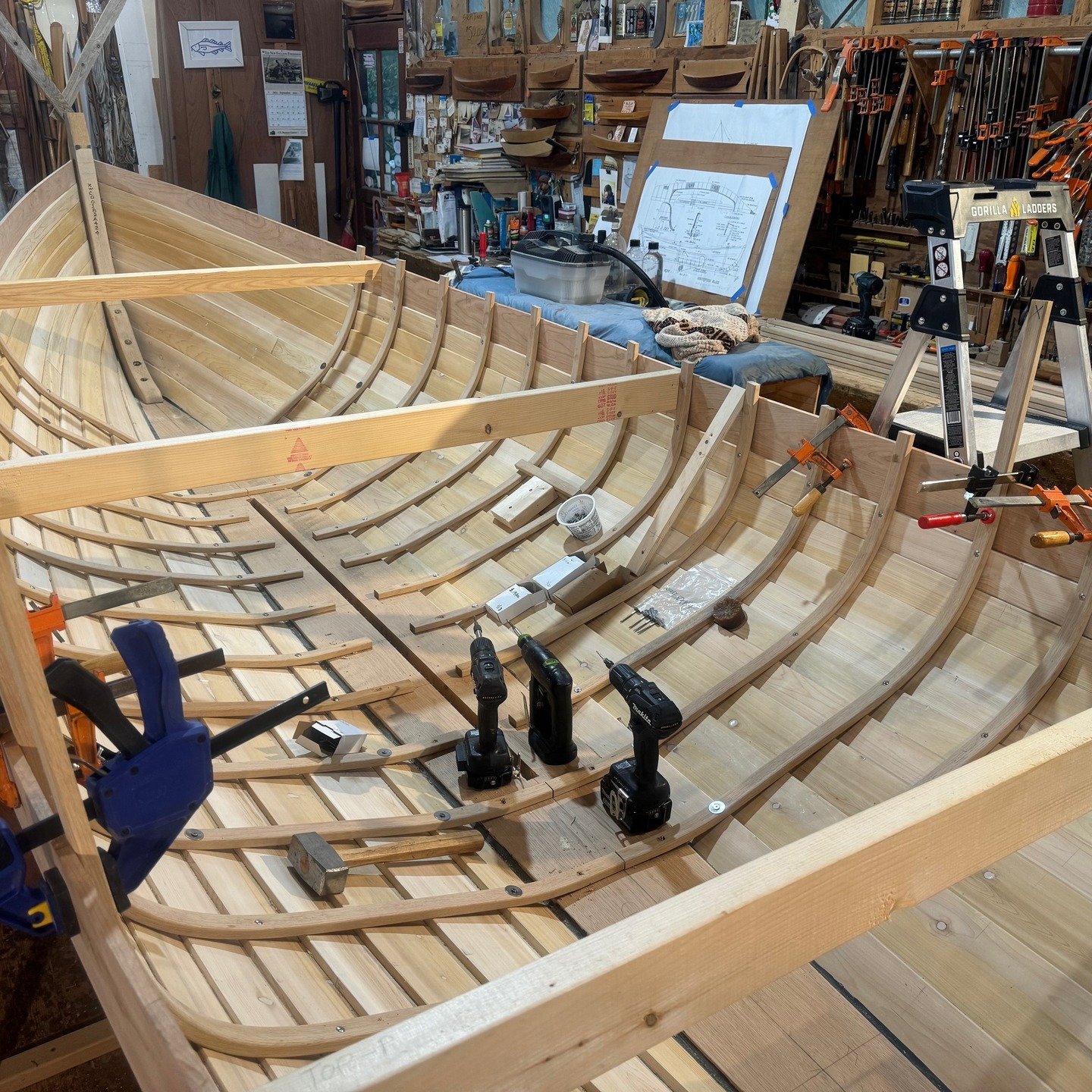 In this series the steam bent white oak frames are installed with temporary fastenings. After breaking 9 of the first 18 frames, we did not break another, including the S-shaped frames at the stern. I thought these would give me the most trouble, but